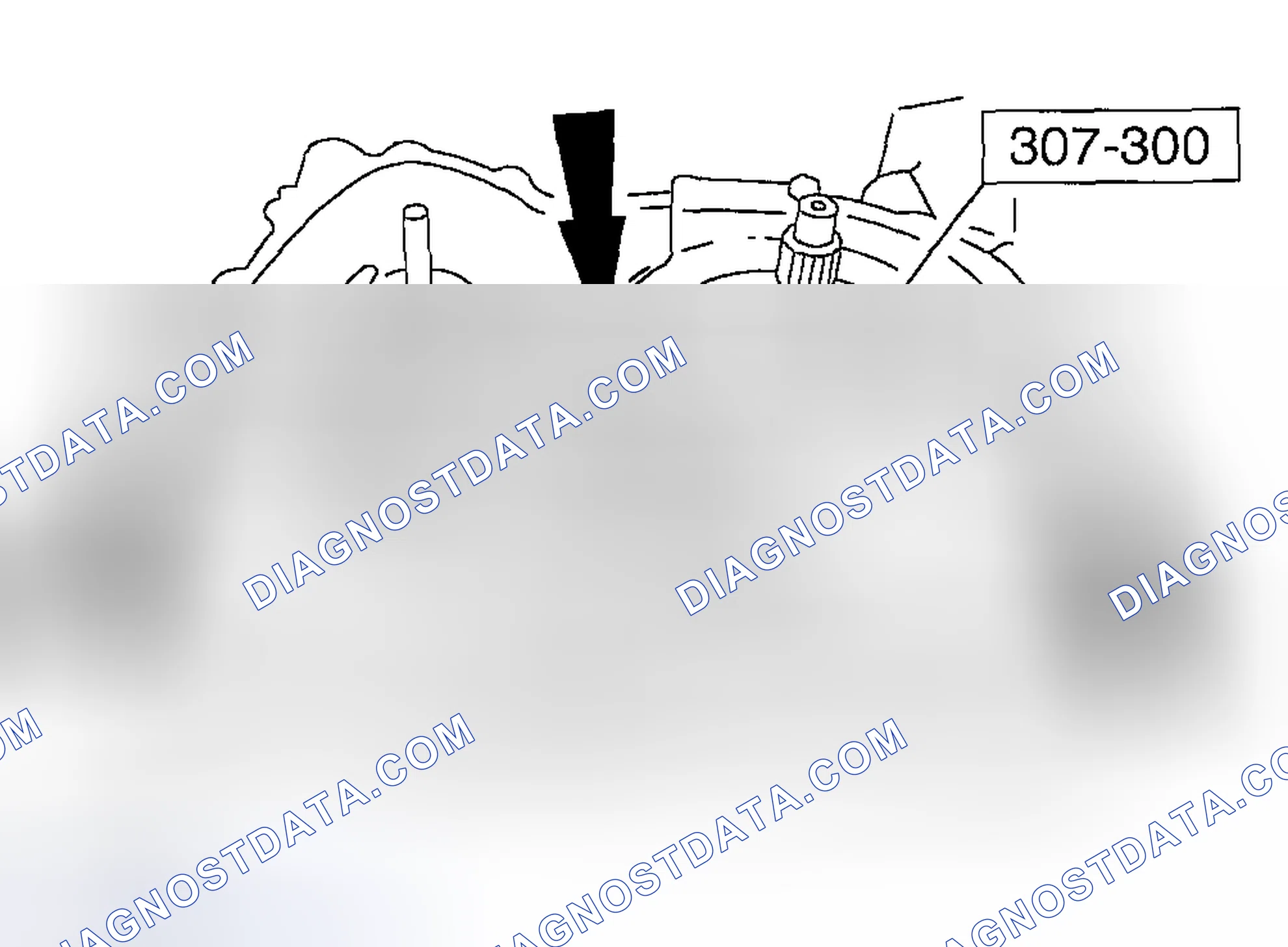 Scheme 306