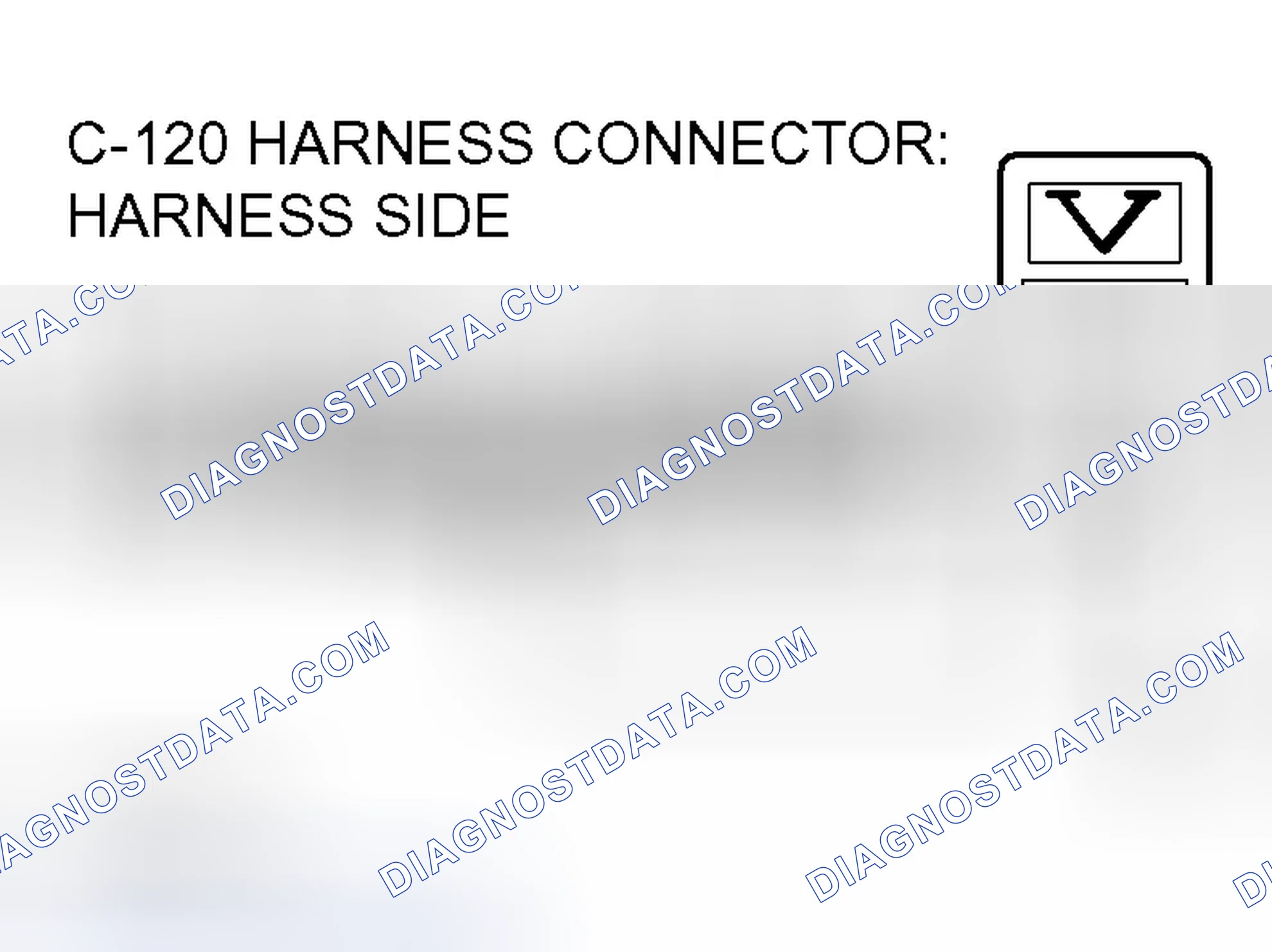 Scheme 329