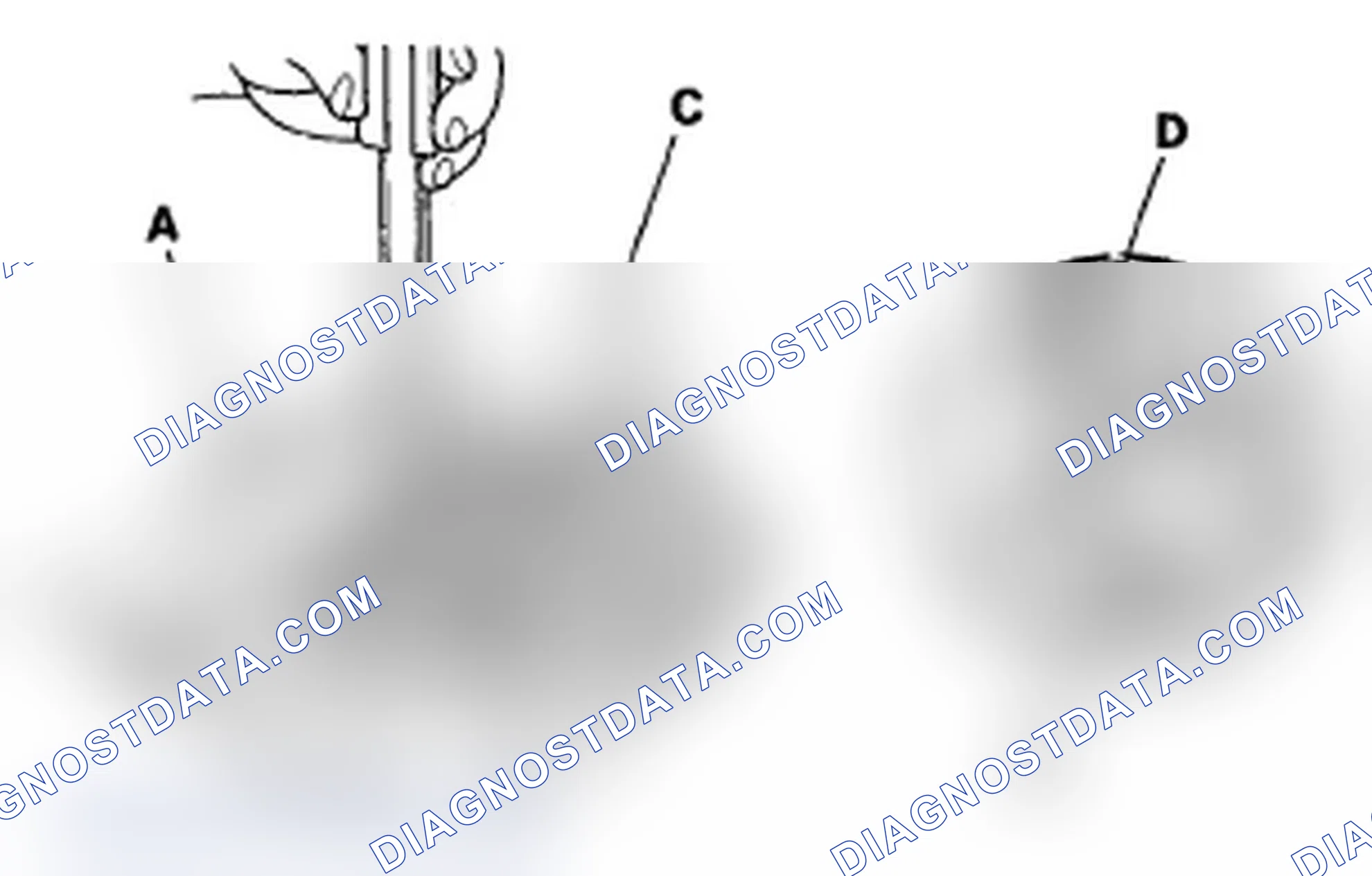 Scheme 156