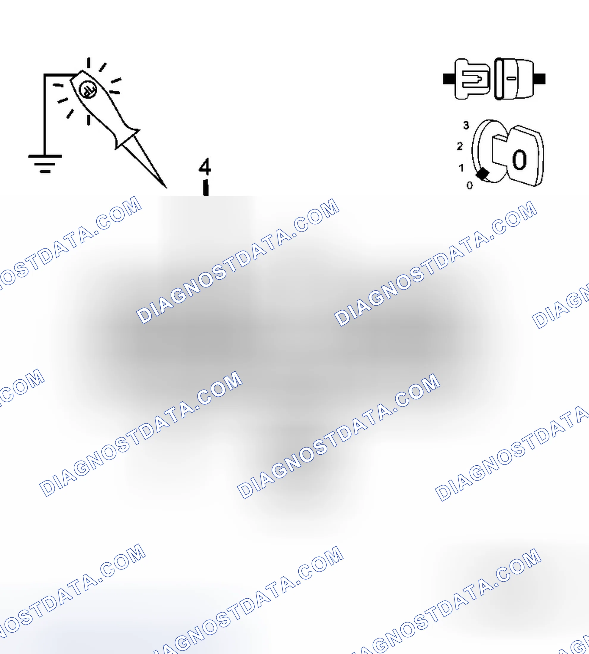 Scheme 43: Diagnostic Test