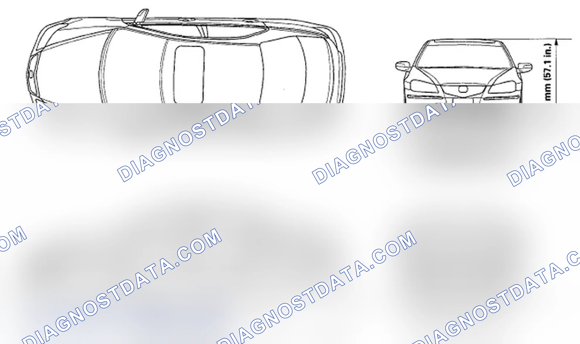 Scheme 1: Body Specifications