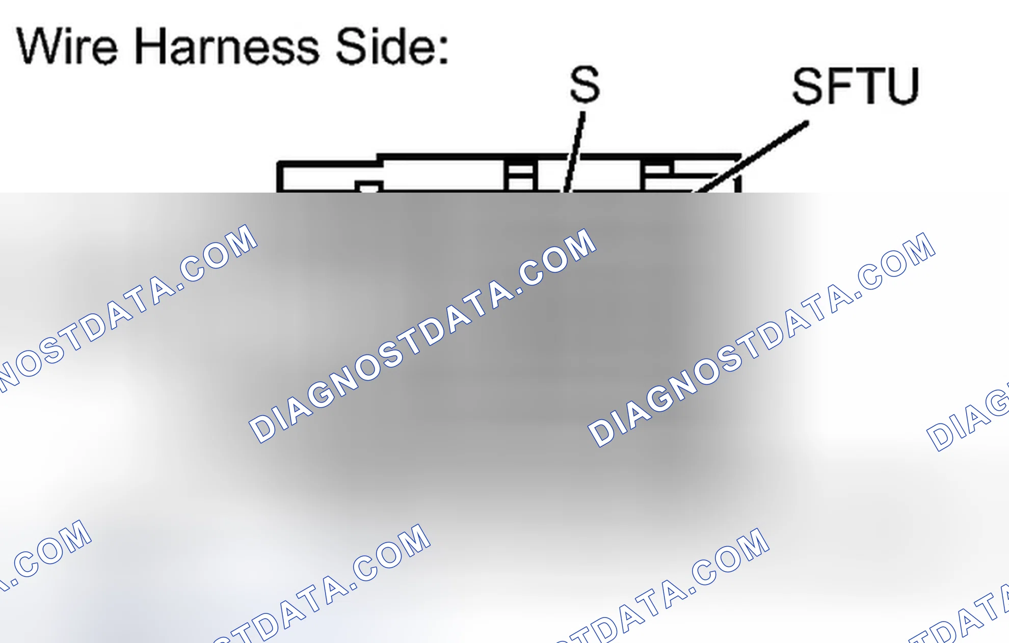Scheme 375