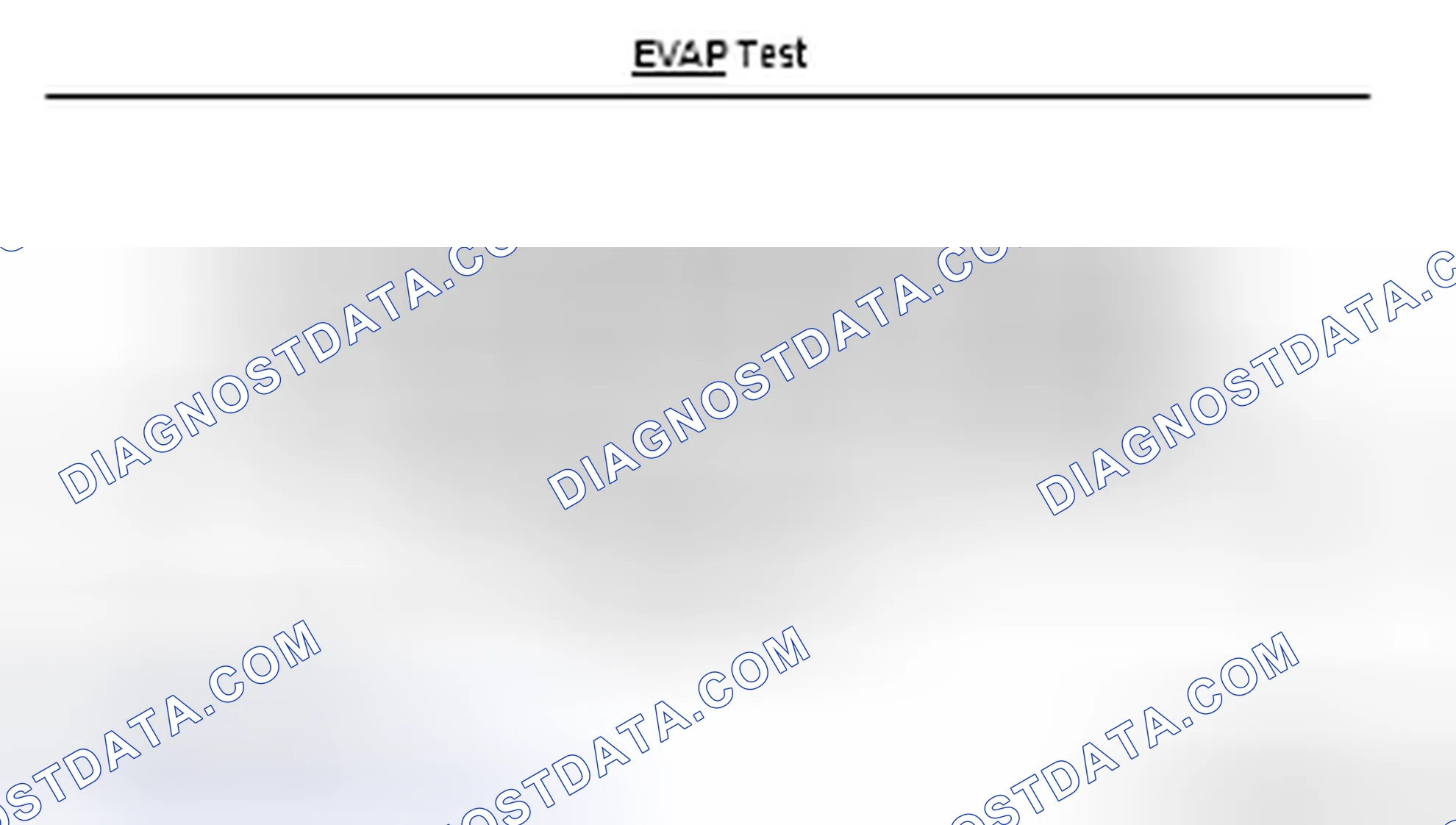 Scheme 12: EVAP system test description