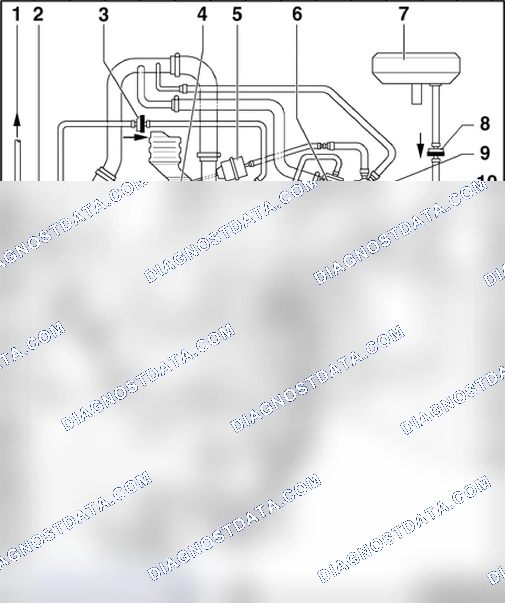 Scheme 246: VACUUM HOSE DIAGRAM(S)