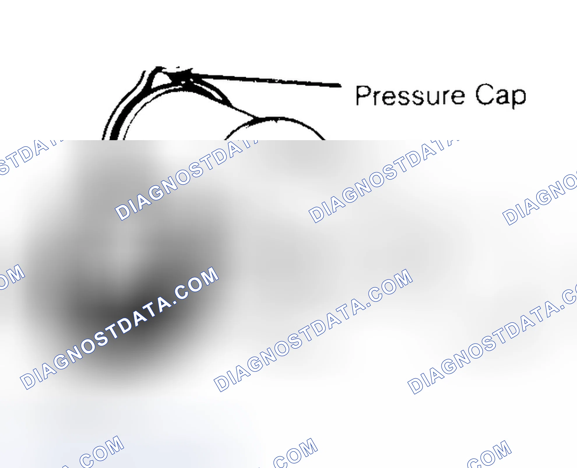 Scheme 2: Pressure Testing Radiator Cap