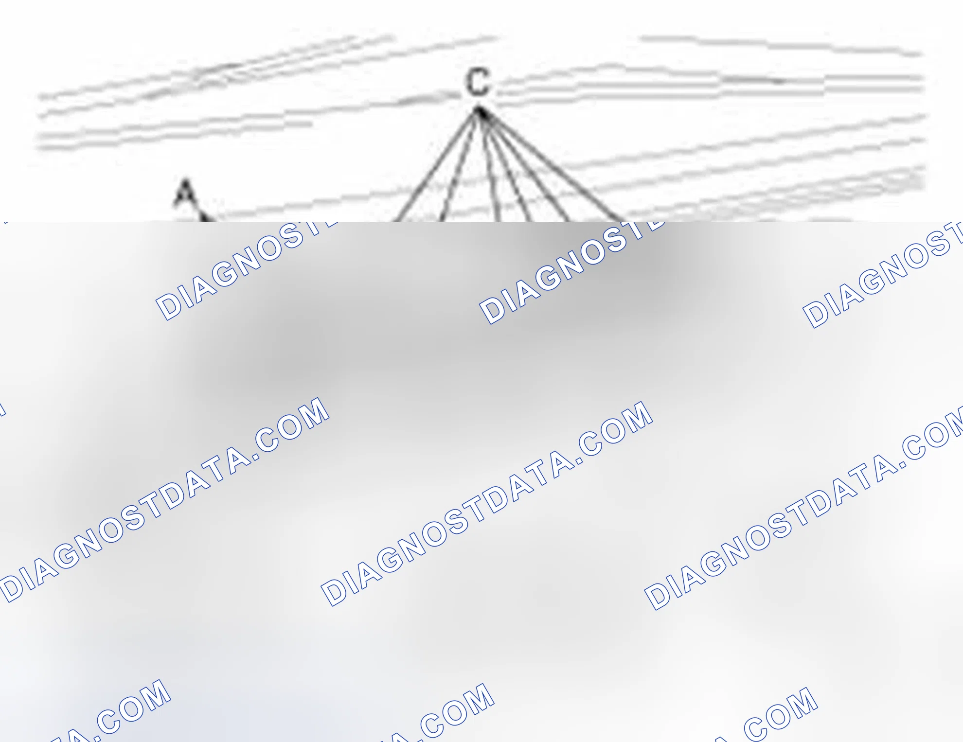Scheme 4