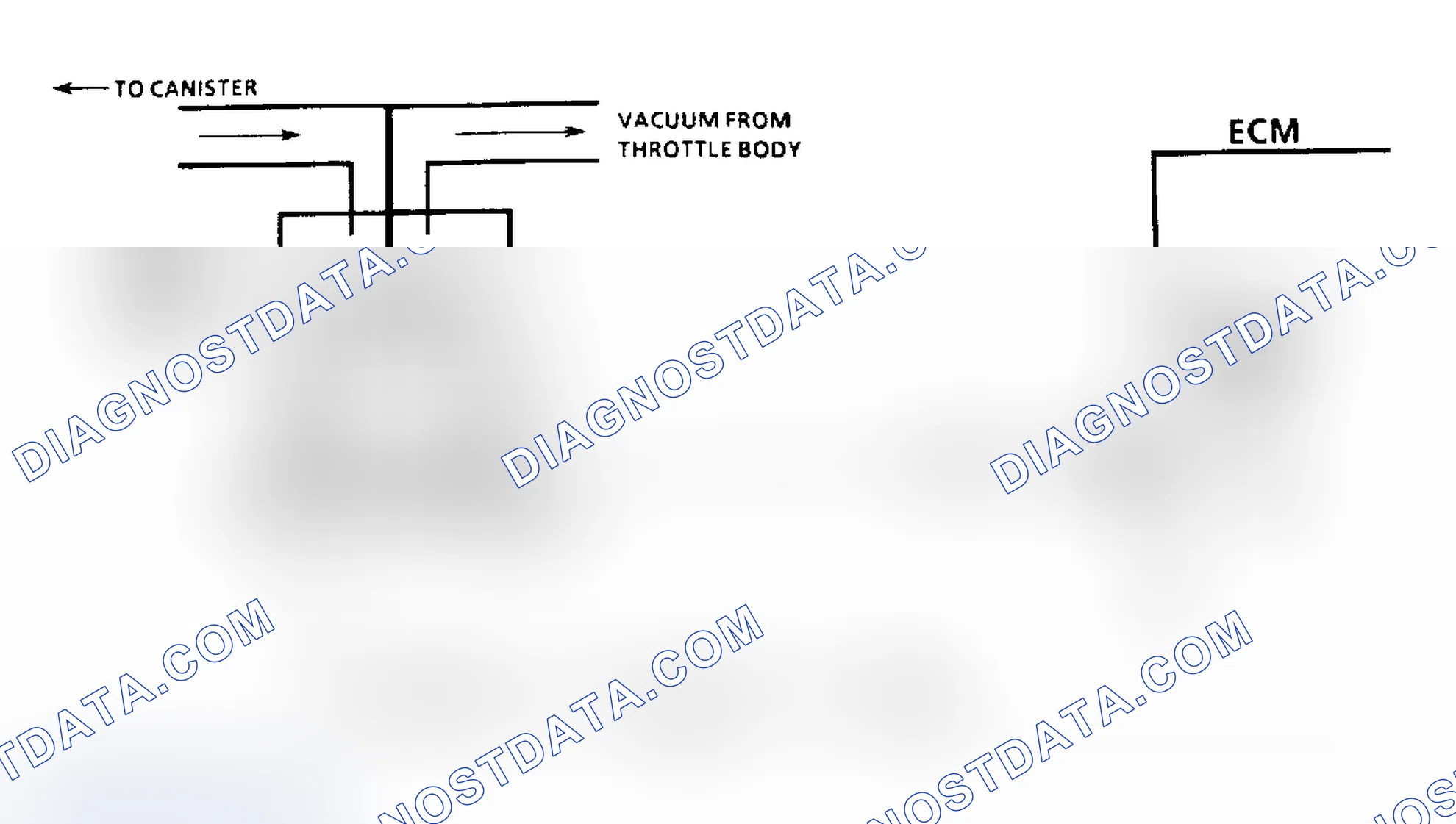 Scheme 250: Chart C3 Schematic, Canister Purge Check (3.3L "A" & "N" Bodies)