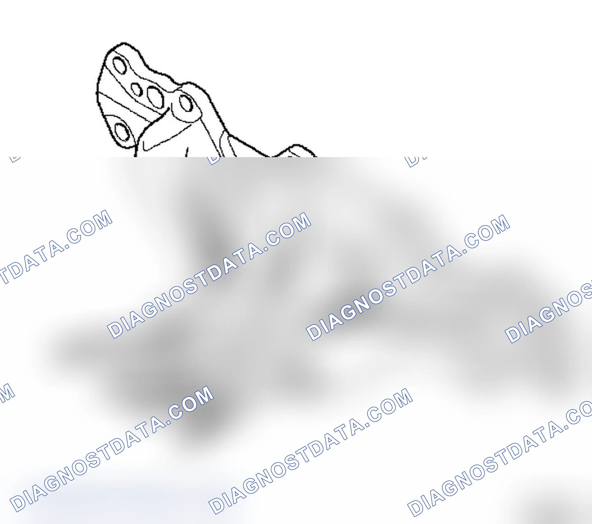 Exhaust Manifold
