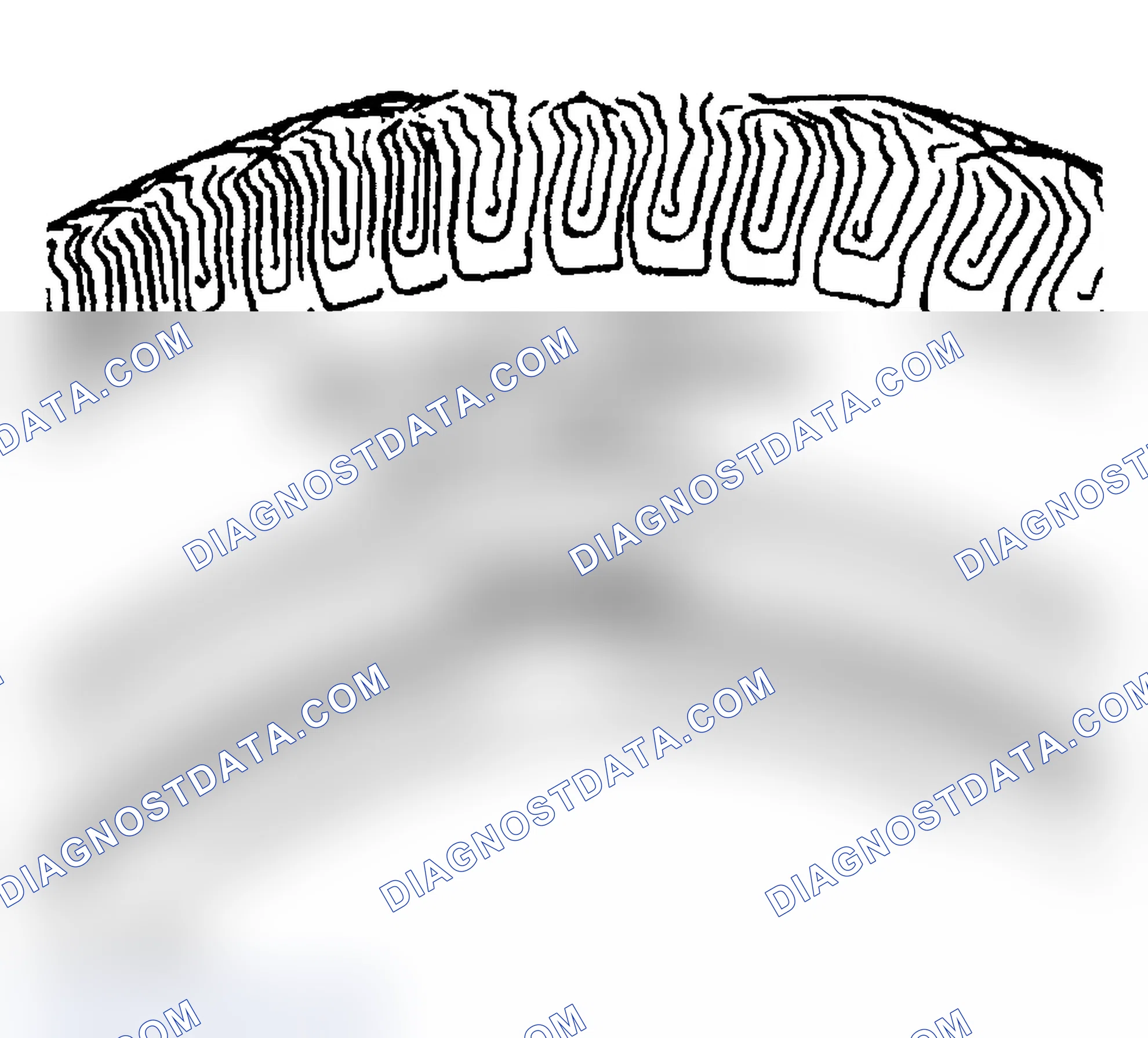 Scheme 15: ALL SEASONS TIRES DESCRIPTION