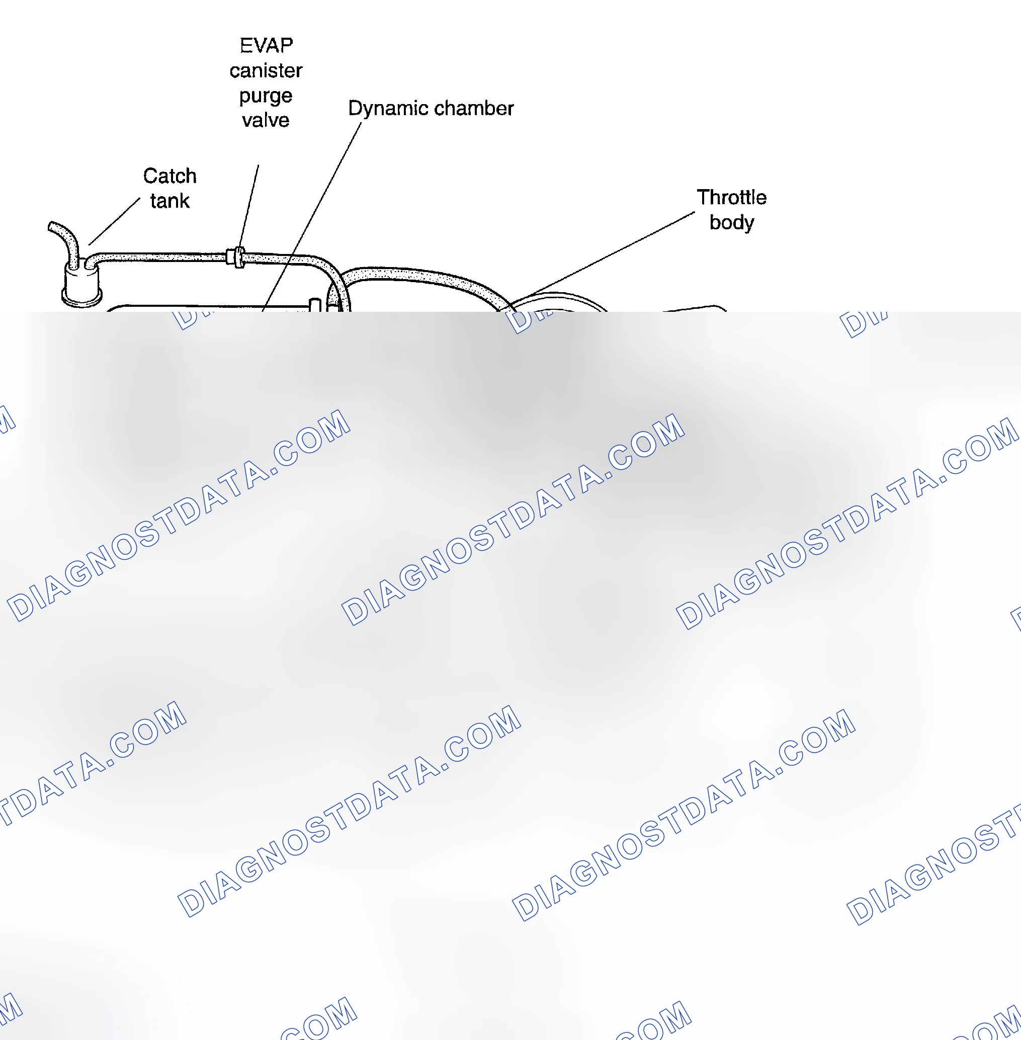 Scheme 289: VACUUM HOSE ROUTING