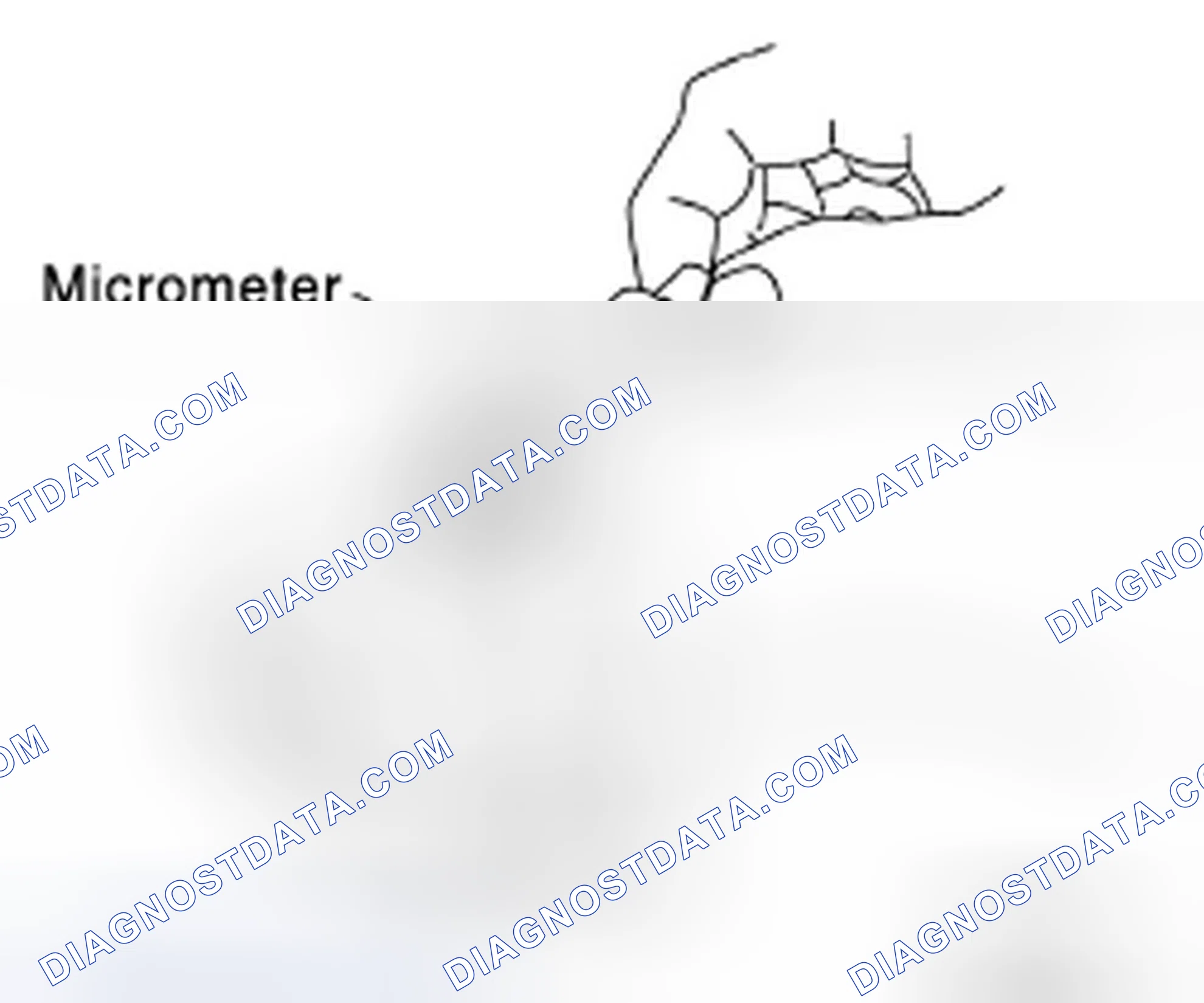 Scheme 249
