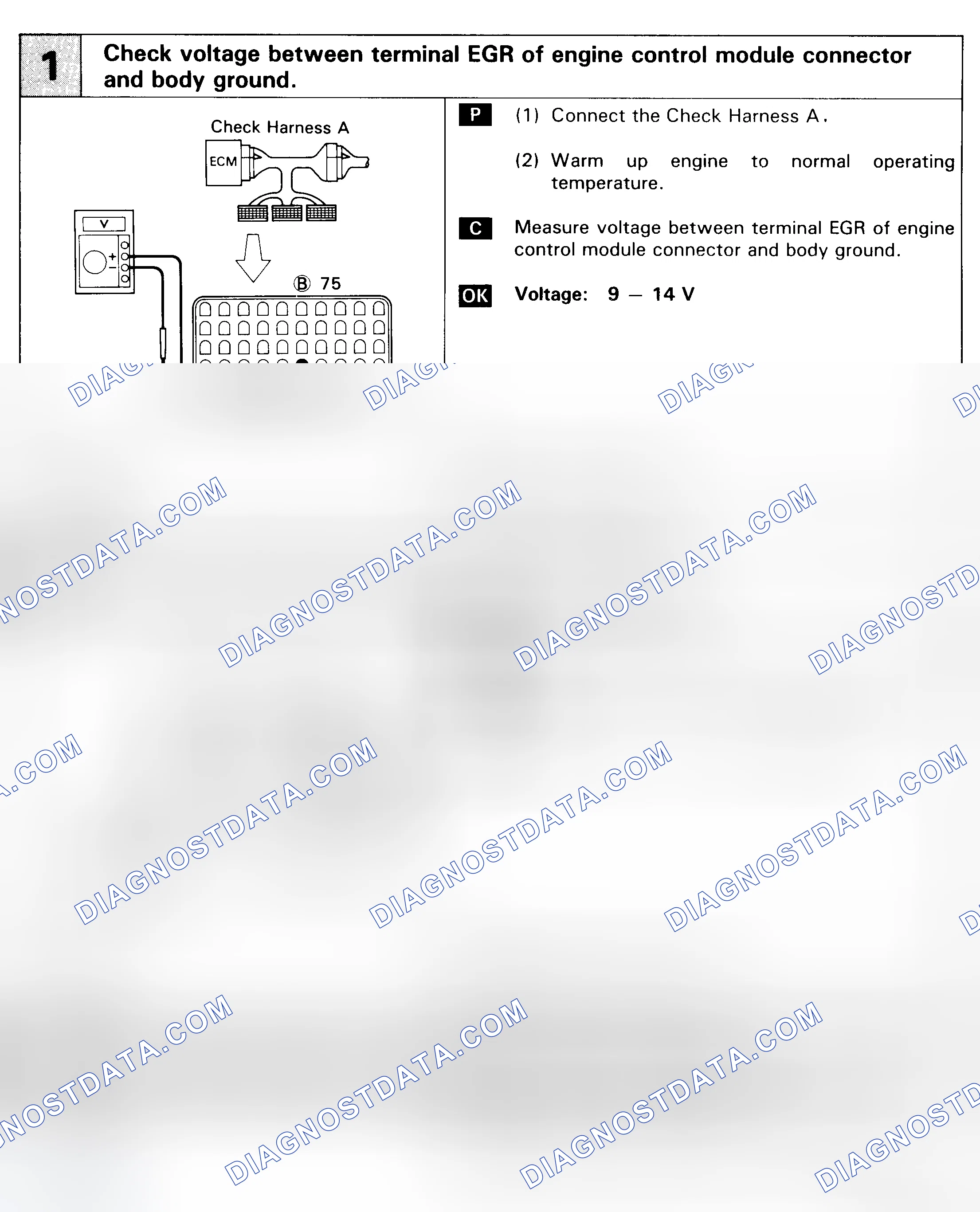 Scheme 161: DTC 71 - EGR SYSTEM MALFUNCTION