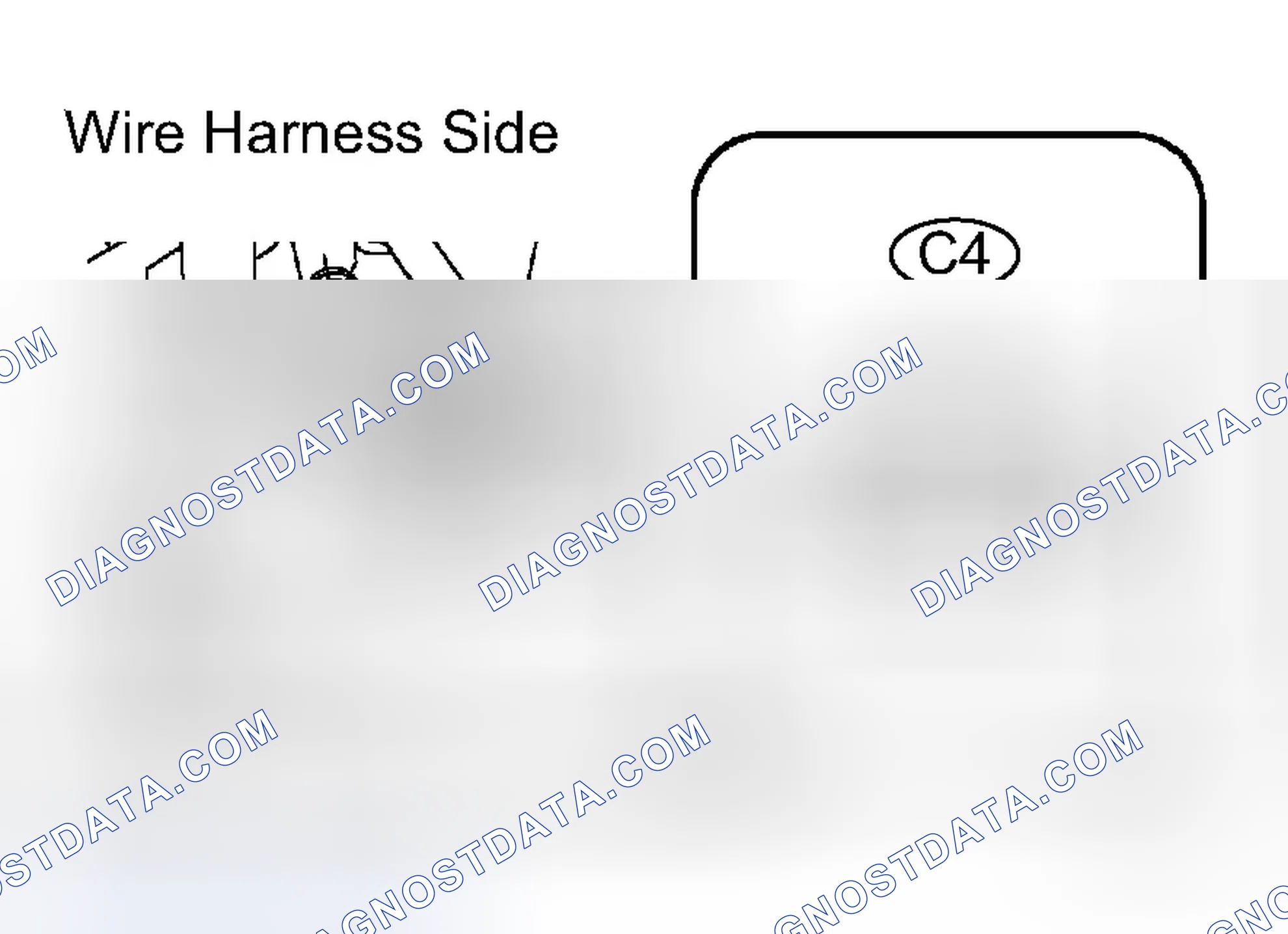 Scheme 80