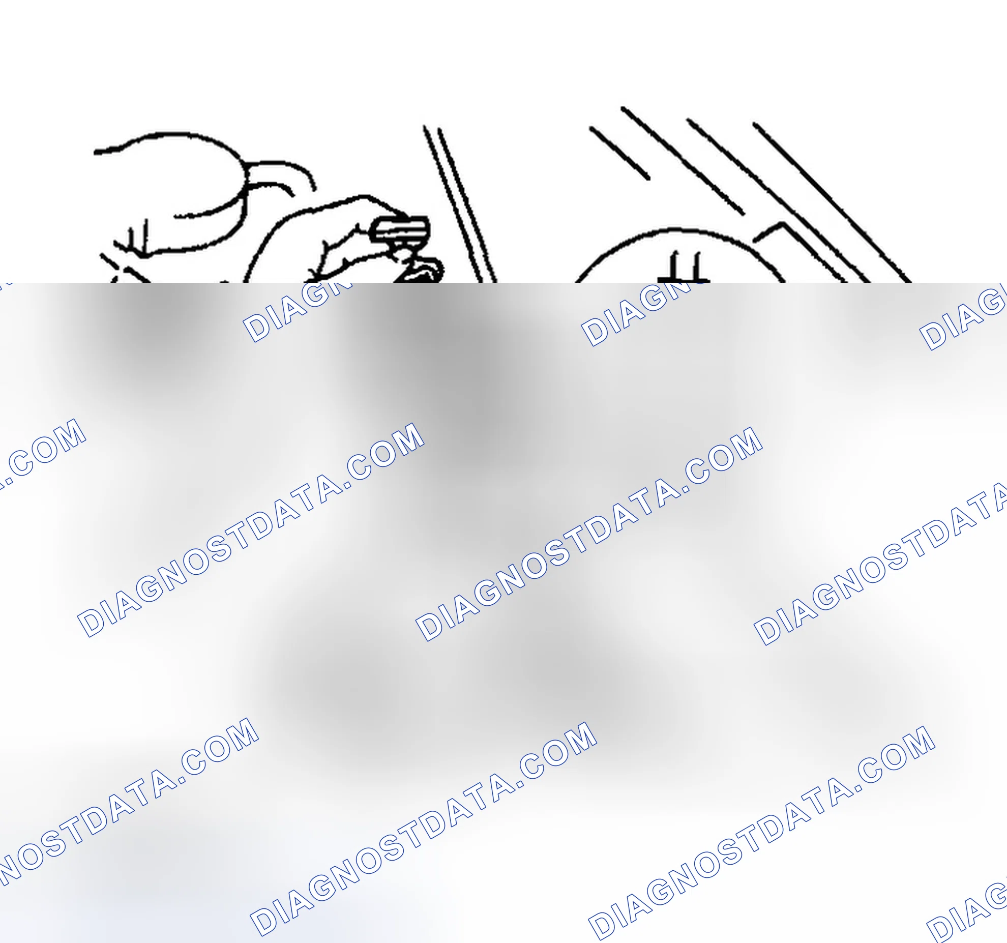 Scheme 77: Fluid Level Inspection