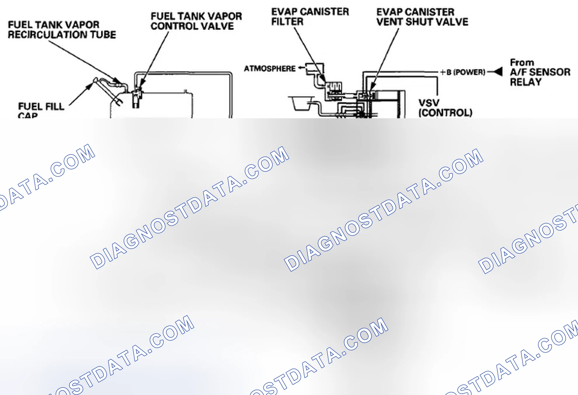 Scheme 669: Evaporative Emission (EVAP) Control Diagram