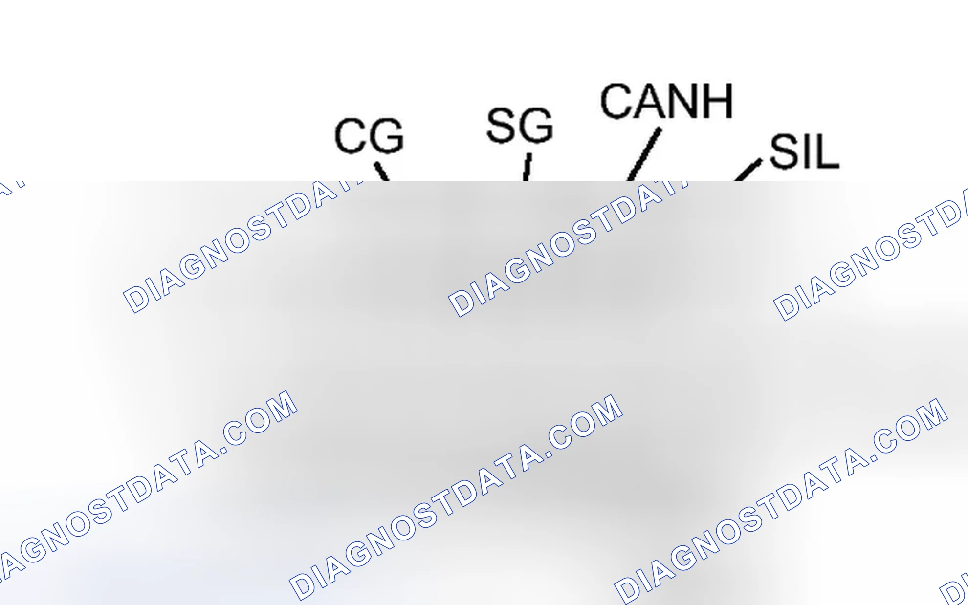 Scheme 18: DIAGNOSIS SYSTEM