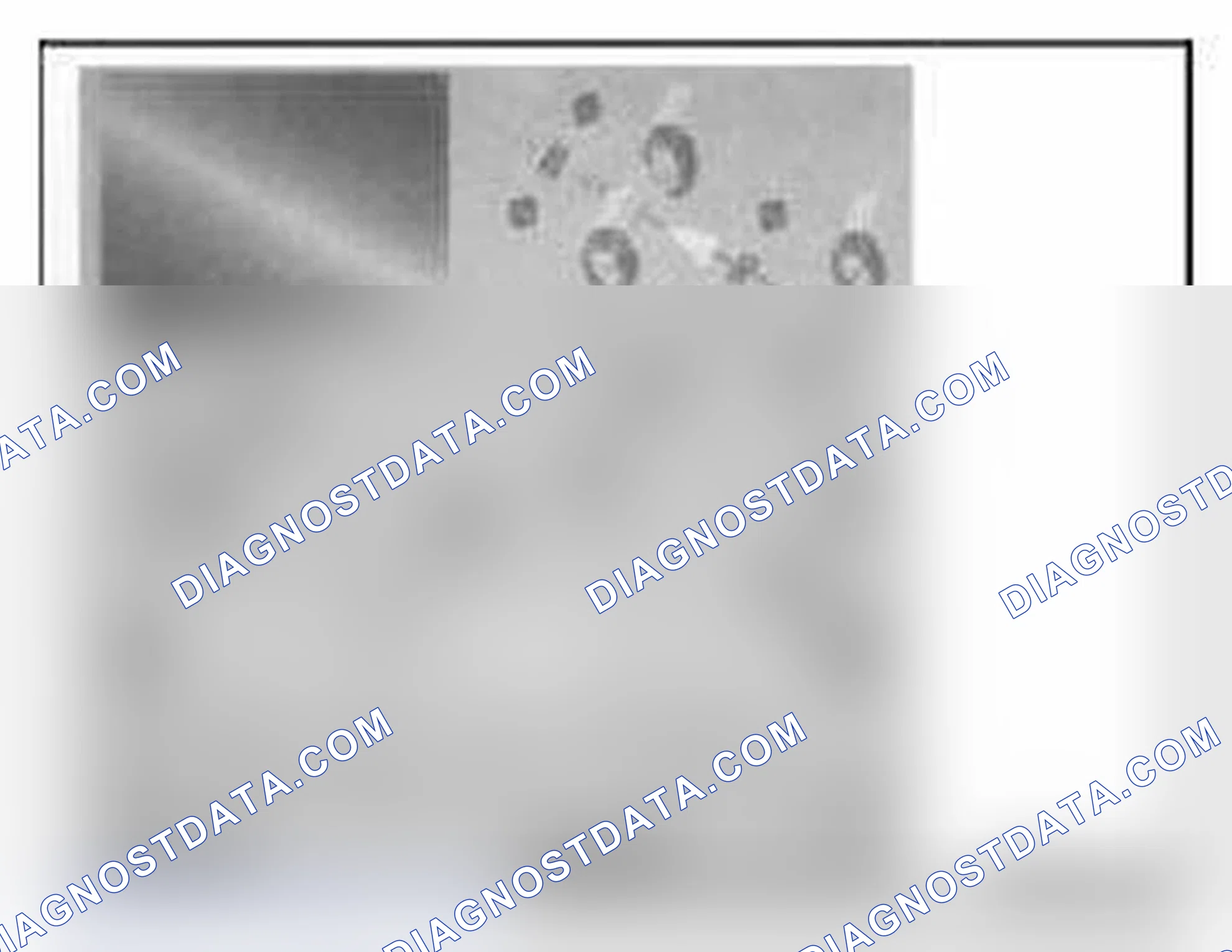 Scheme 276: 3.3 Graphical tablet