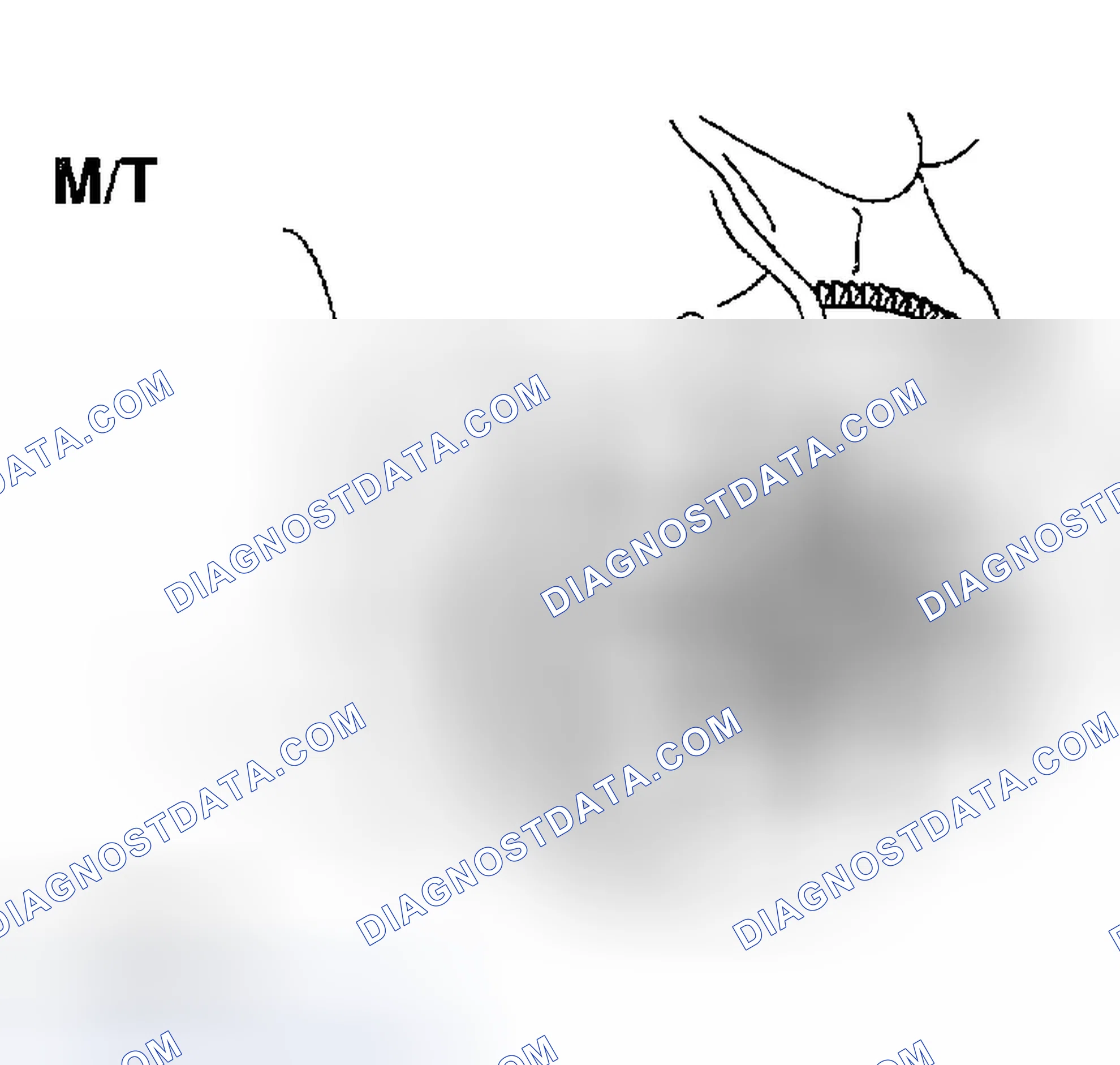 Scheme 317