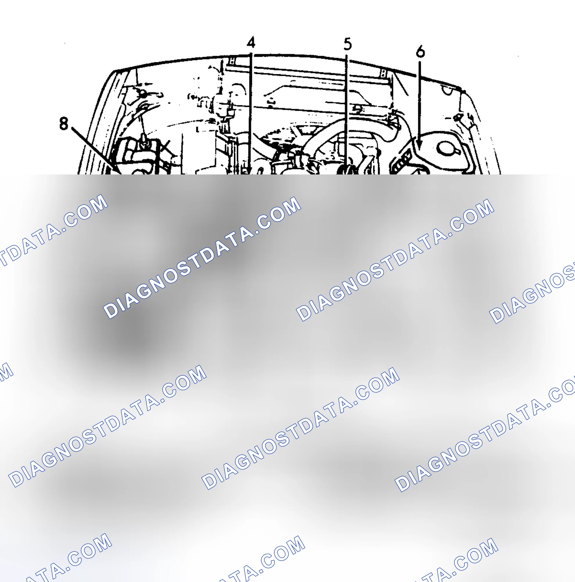 Scheme 5