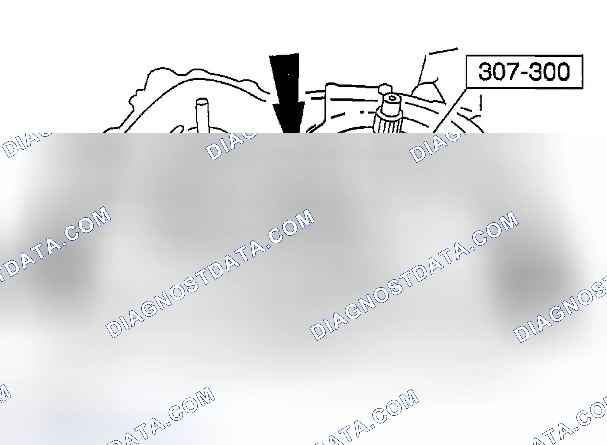 Scheme 337