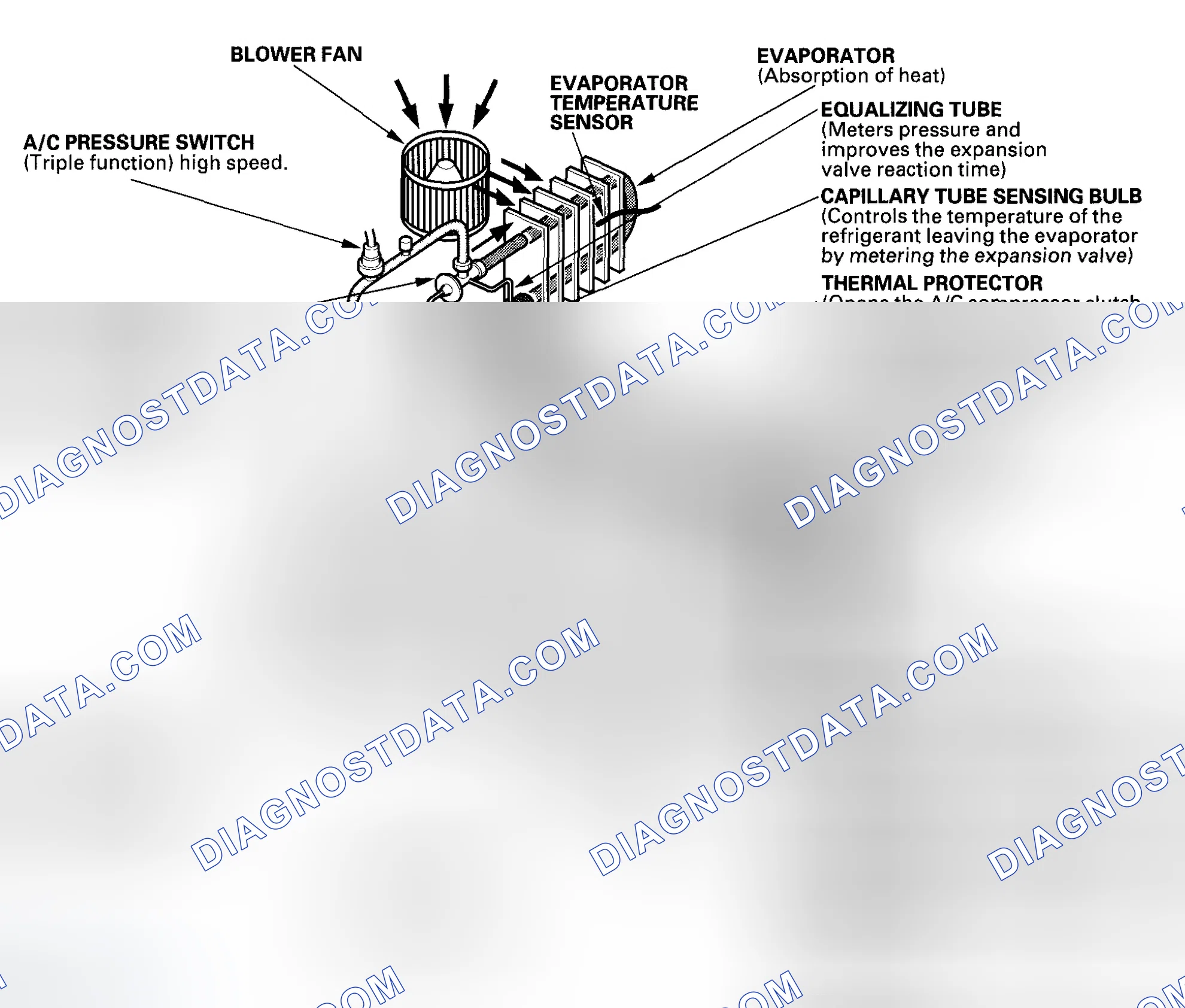 Scheme 5: System Description