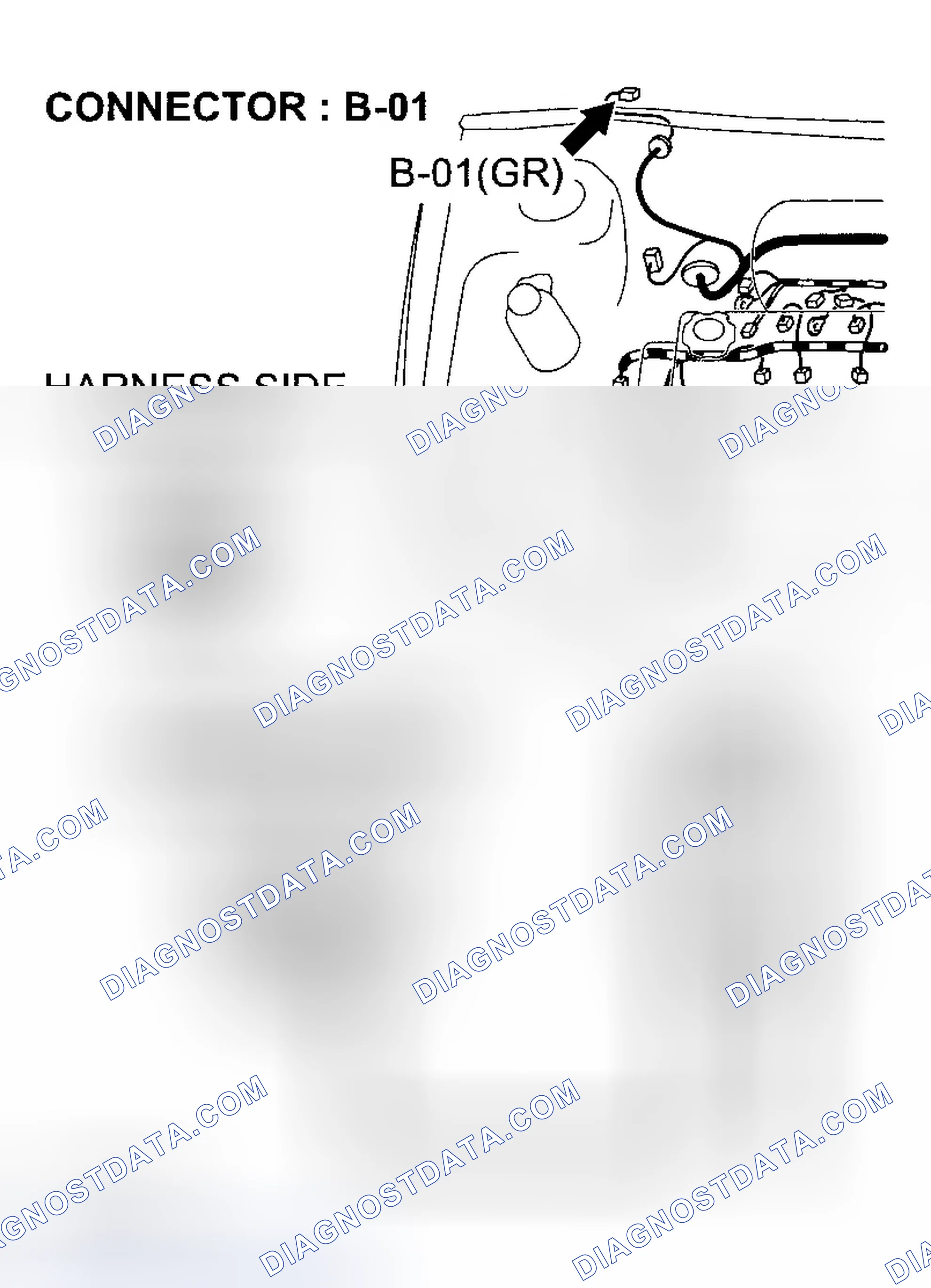 Scheme 217