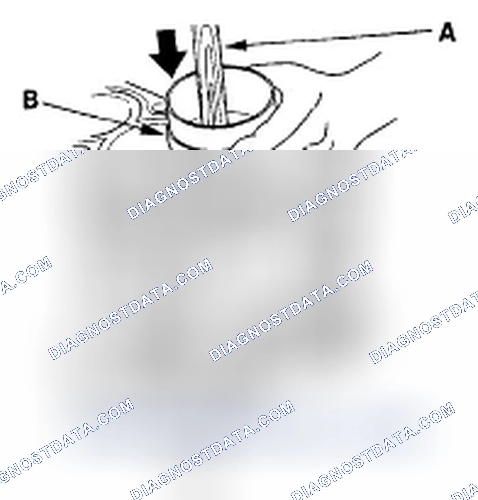 Scheme 245