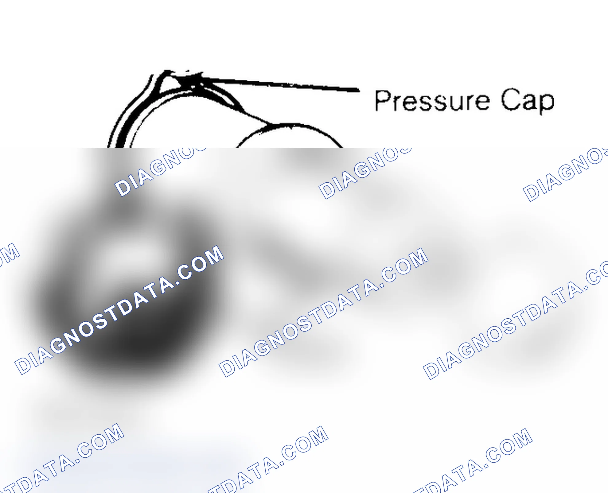 Scheme 2: Pressure Testing Radiator Cap