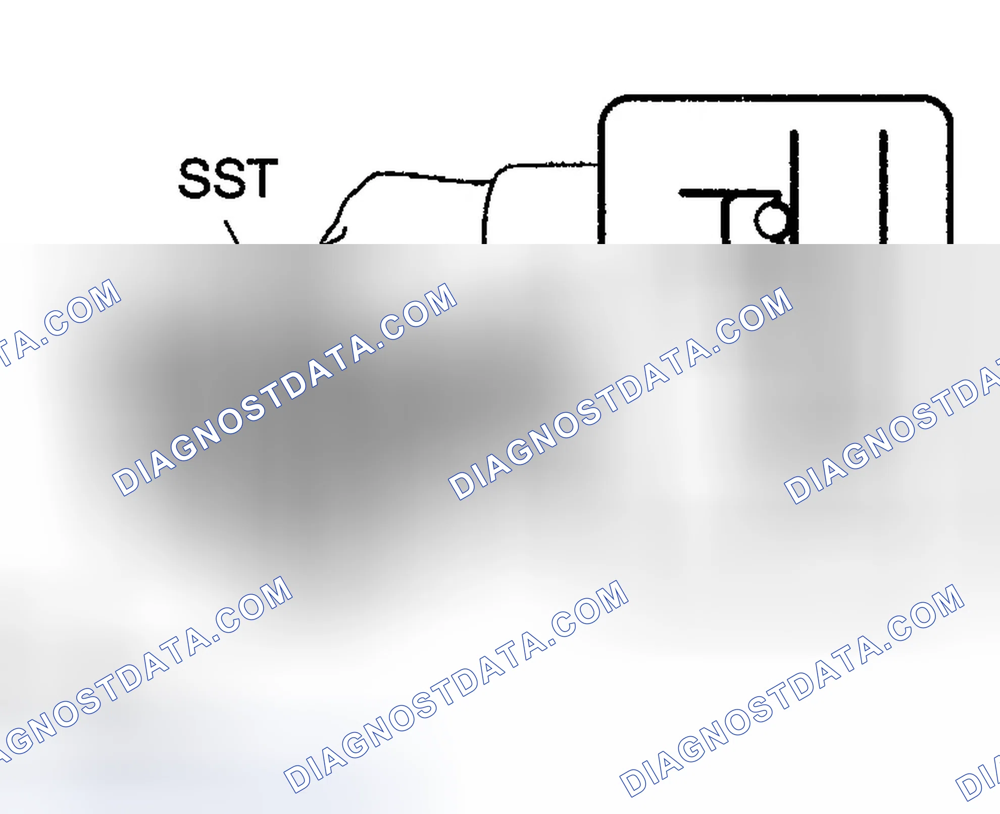Scheme 307