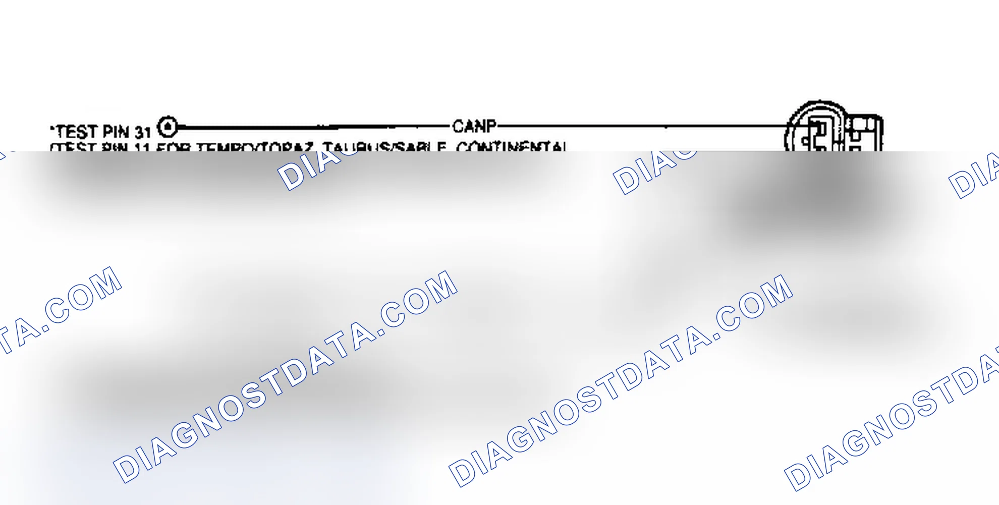 Scheme 114: Canister Purge (CANP) Circuit