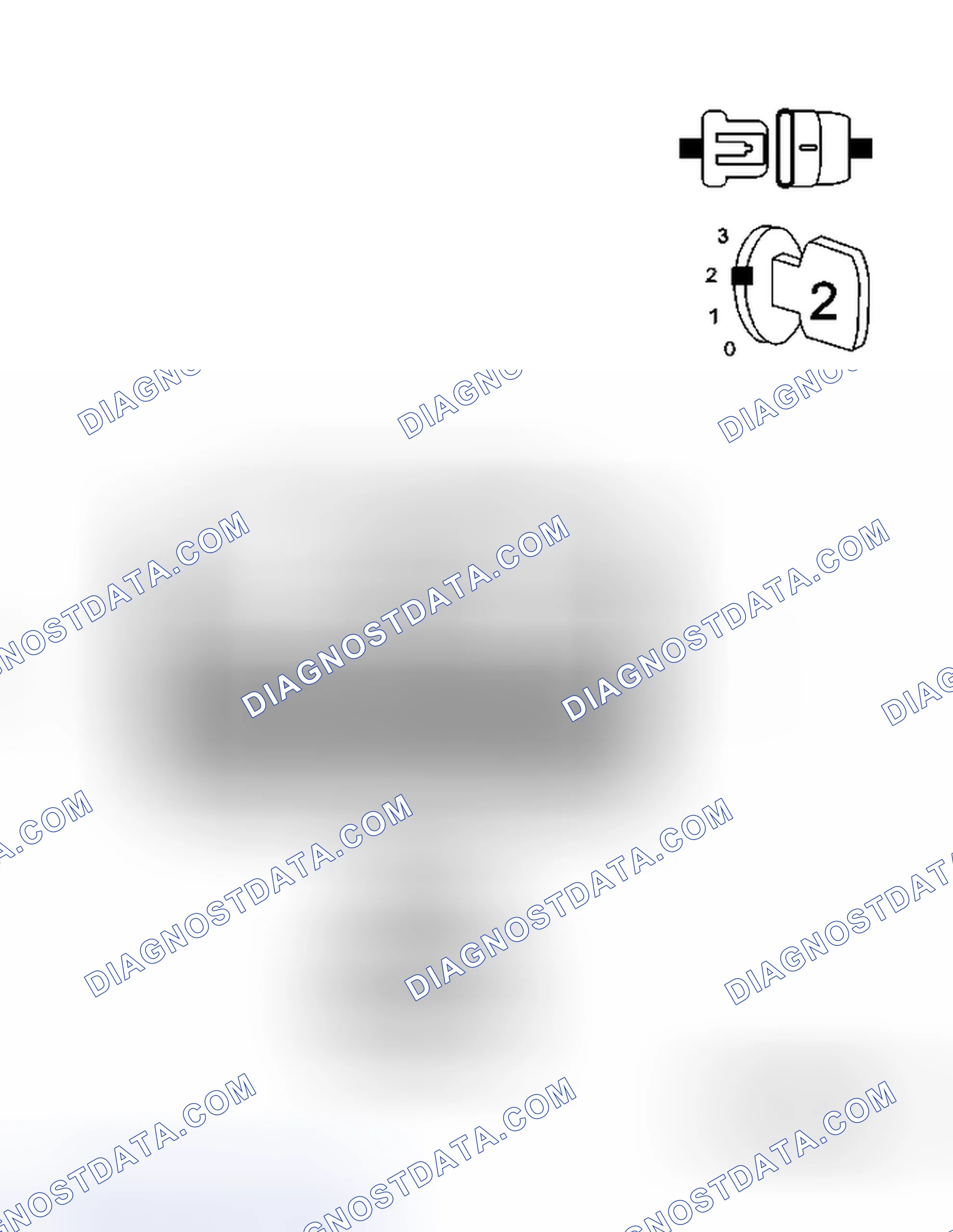 Scheme 46: Diagnostic Test