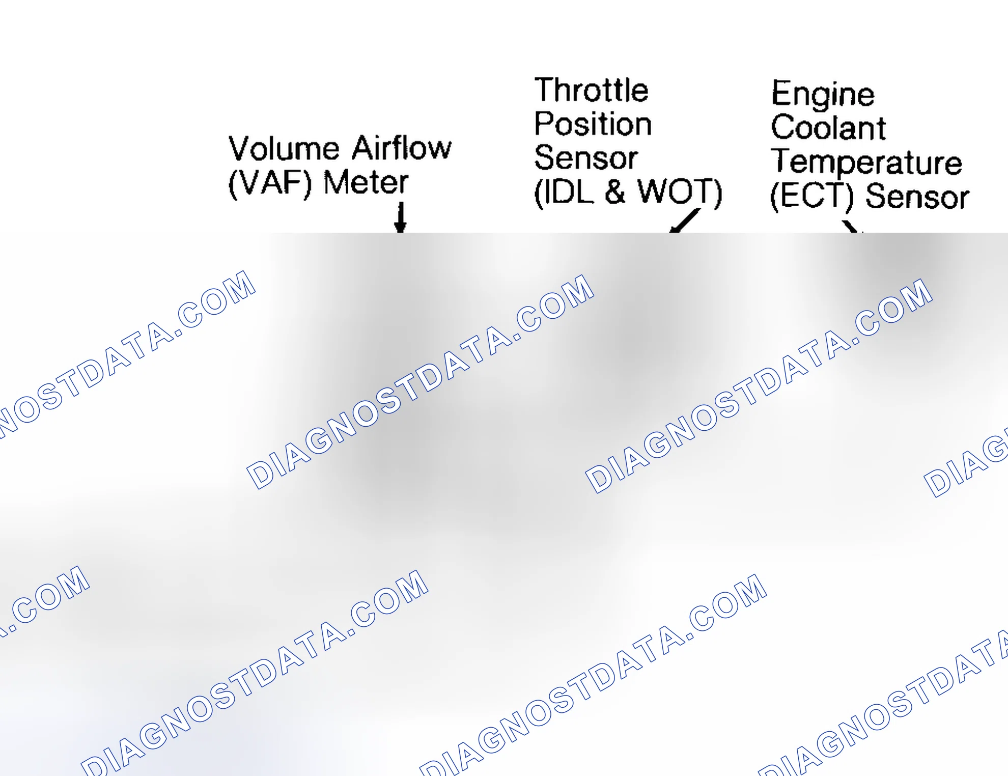 Scheme 178: Identifying VREF Connector Terminals (1.8L M/T)