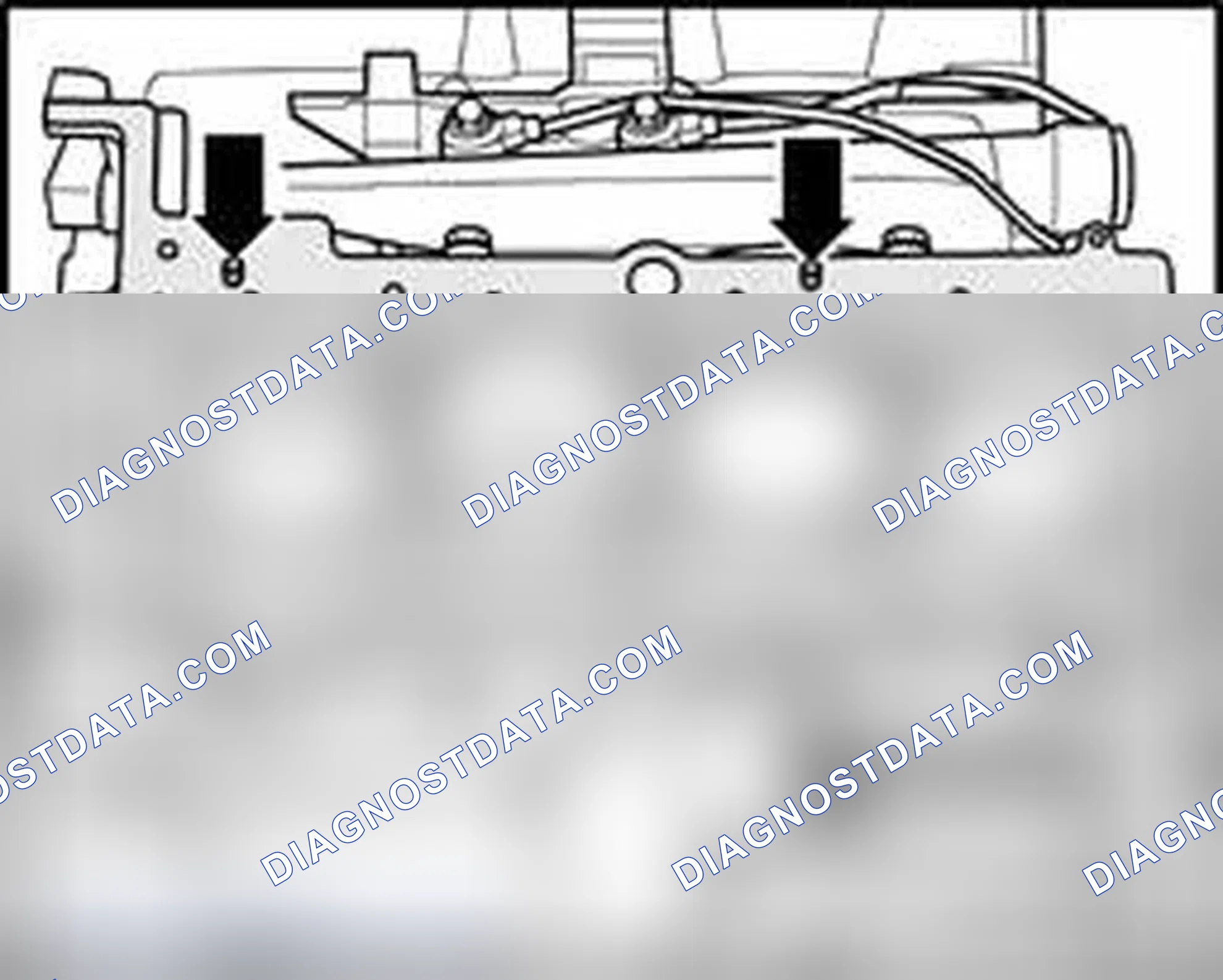 Scheme 258