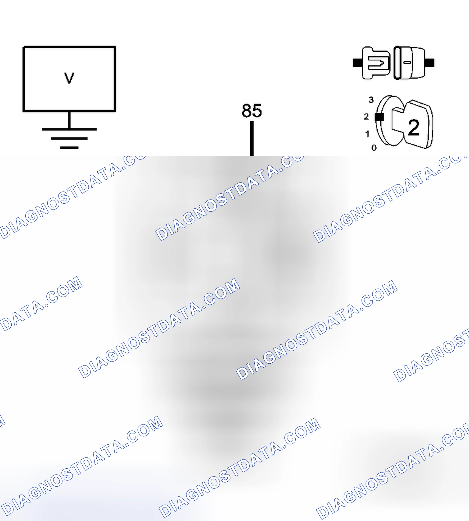 Scheme 15: Diagnostic Test