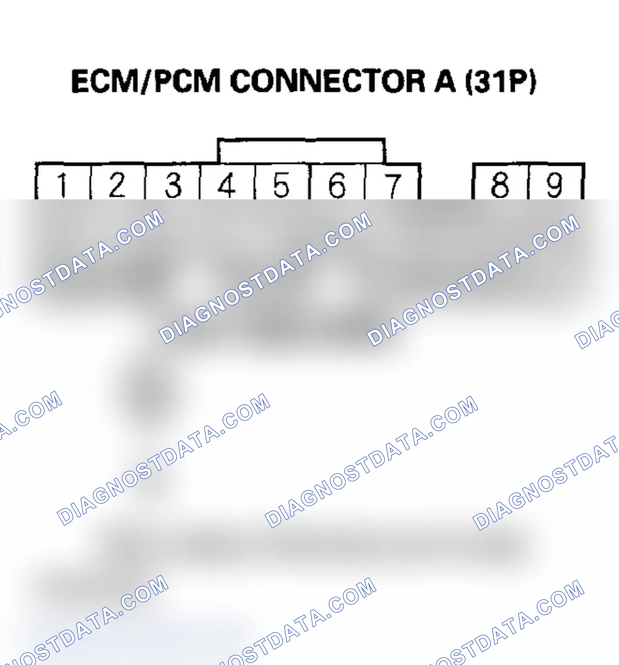 Scheme 383