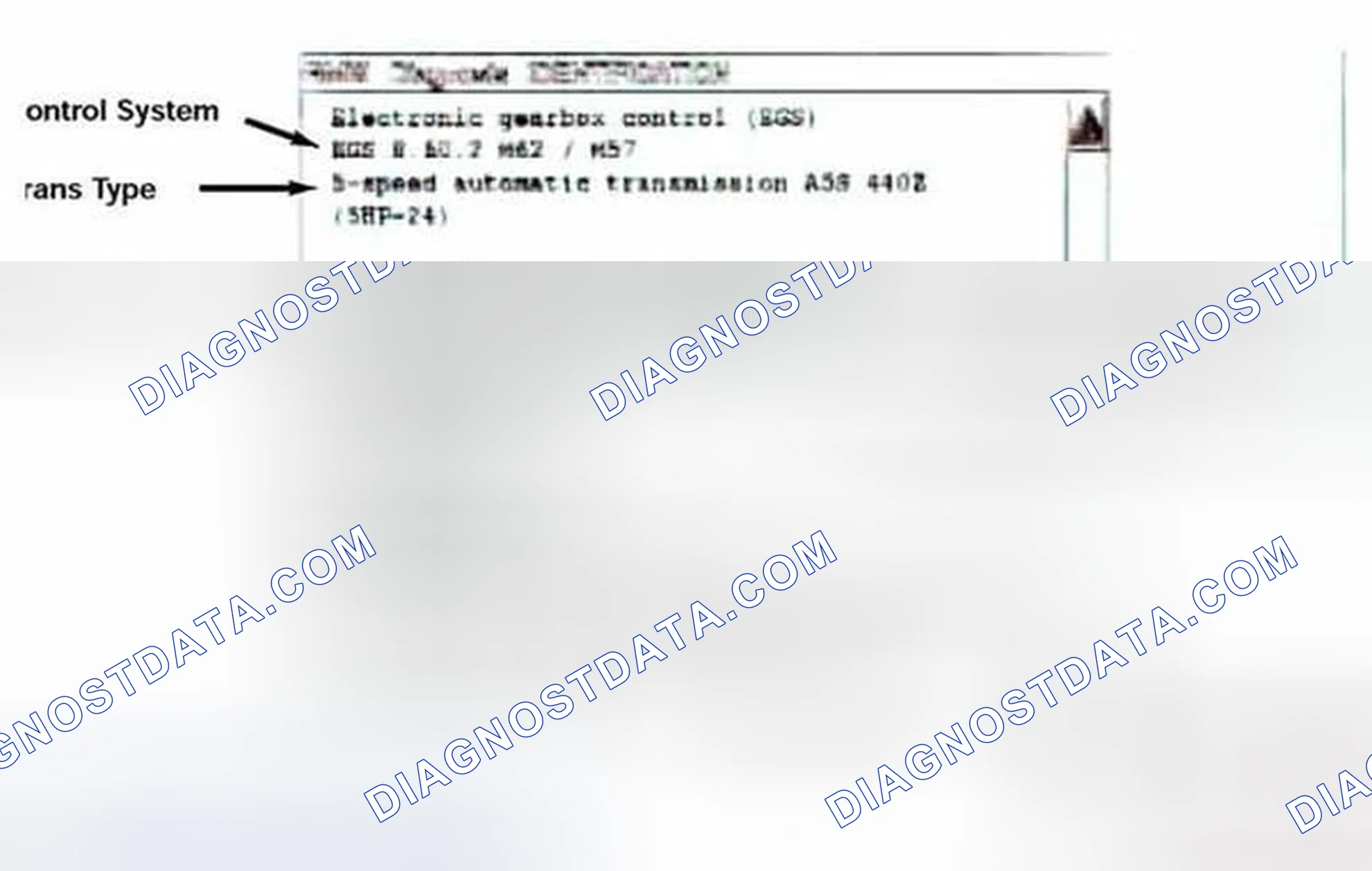 Scheme 330: Identification Page