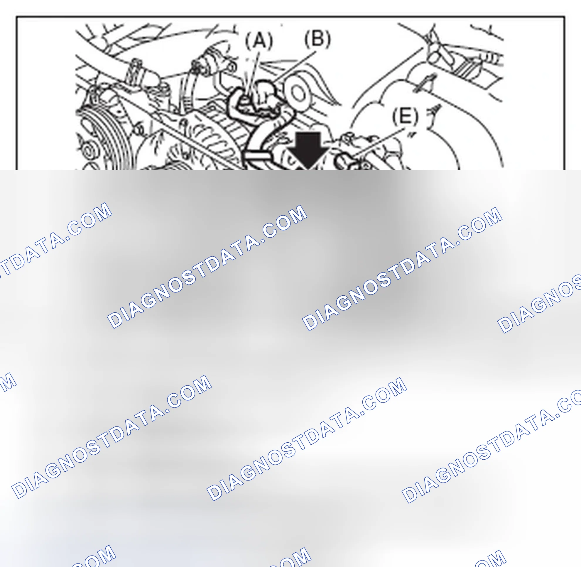 Scheme 487