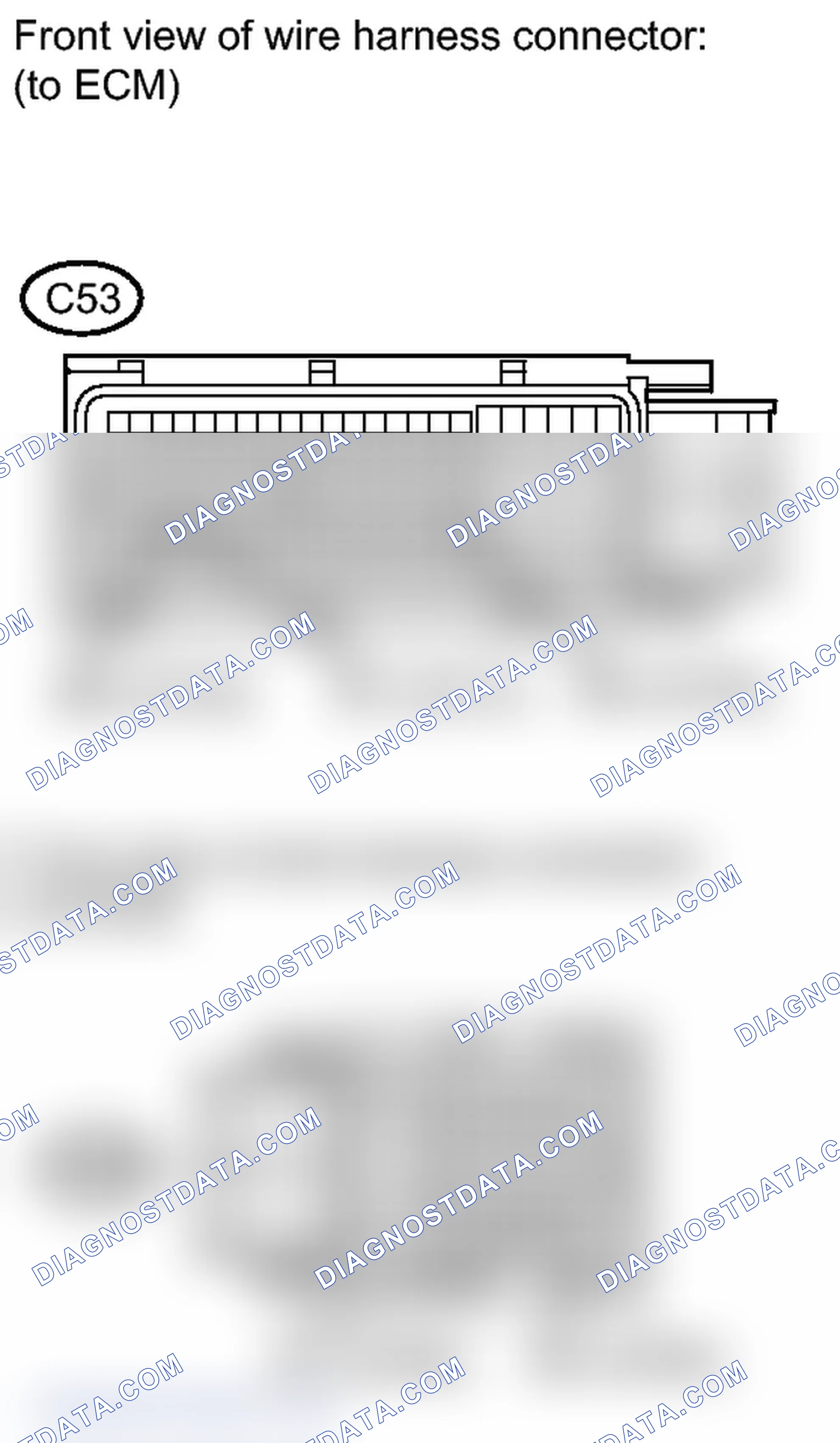 Scheme 146