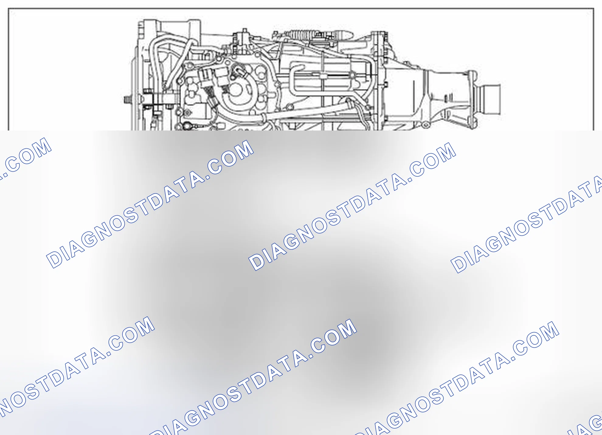Scheme 335