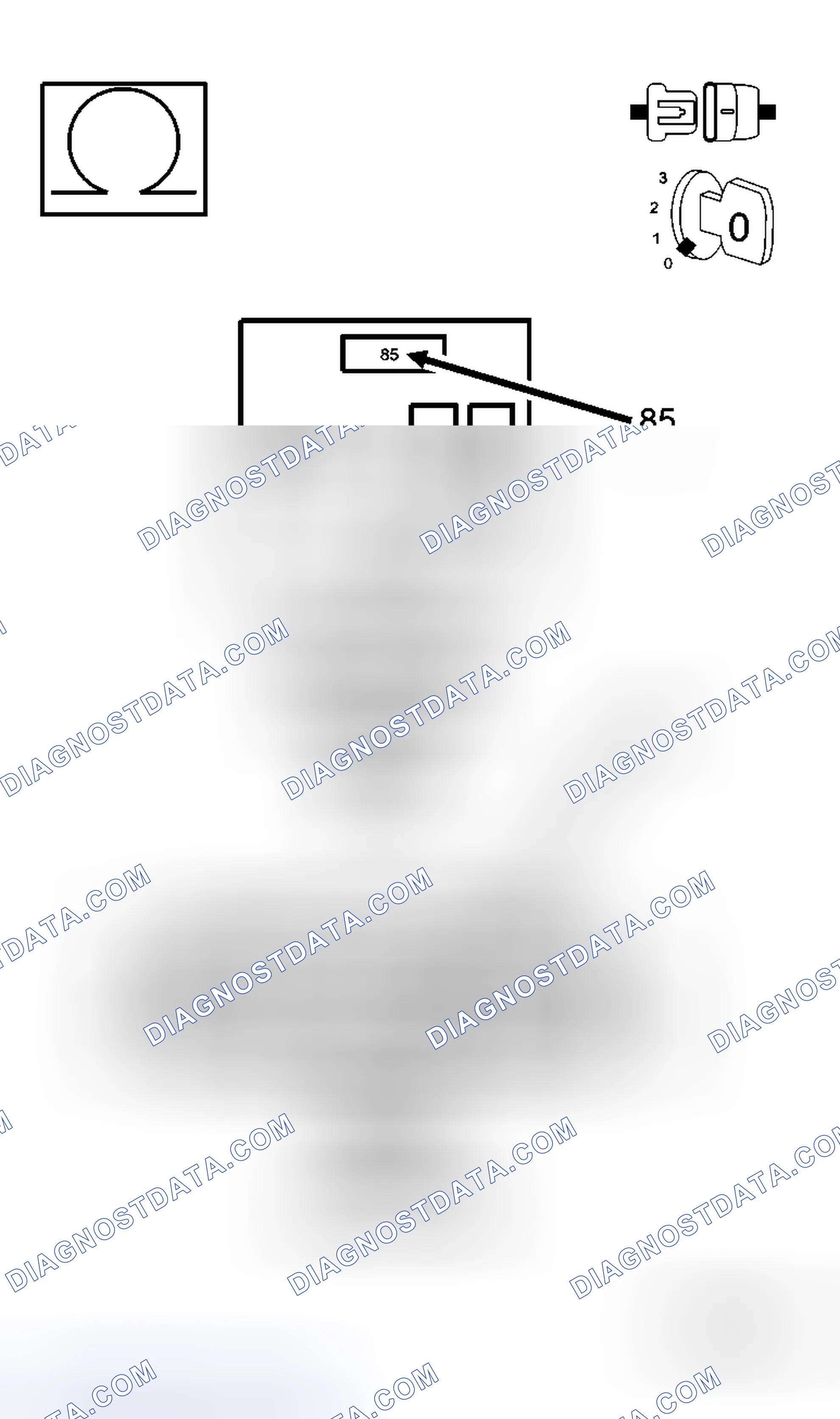 Scheme 13: Diagnostic Test