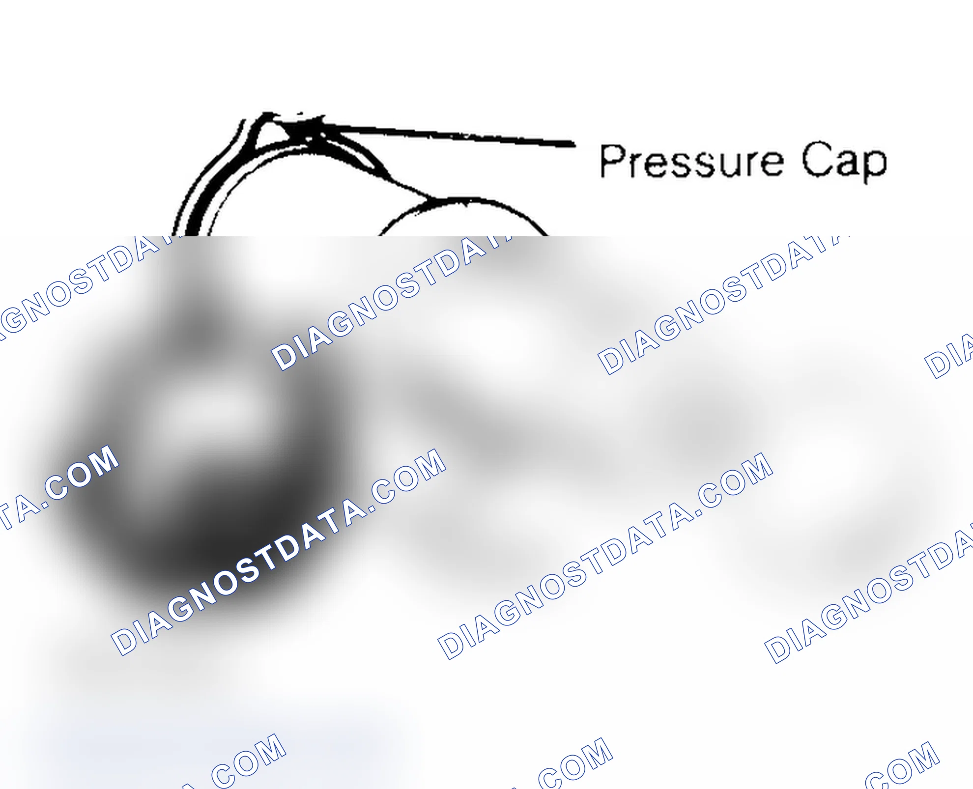 Scheme 2: Pressure Testing Radiator Cap
