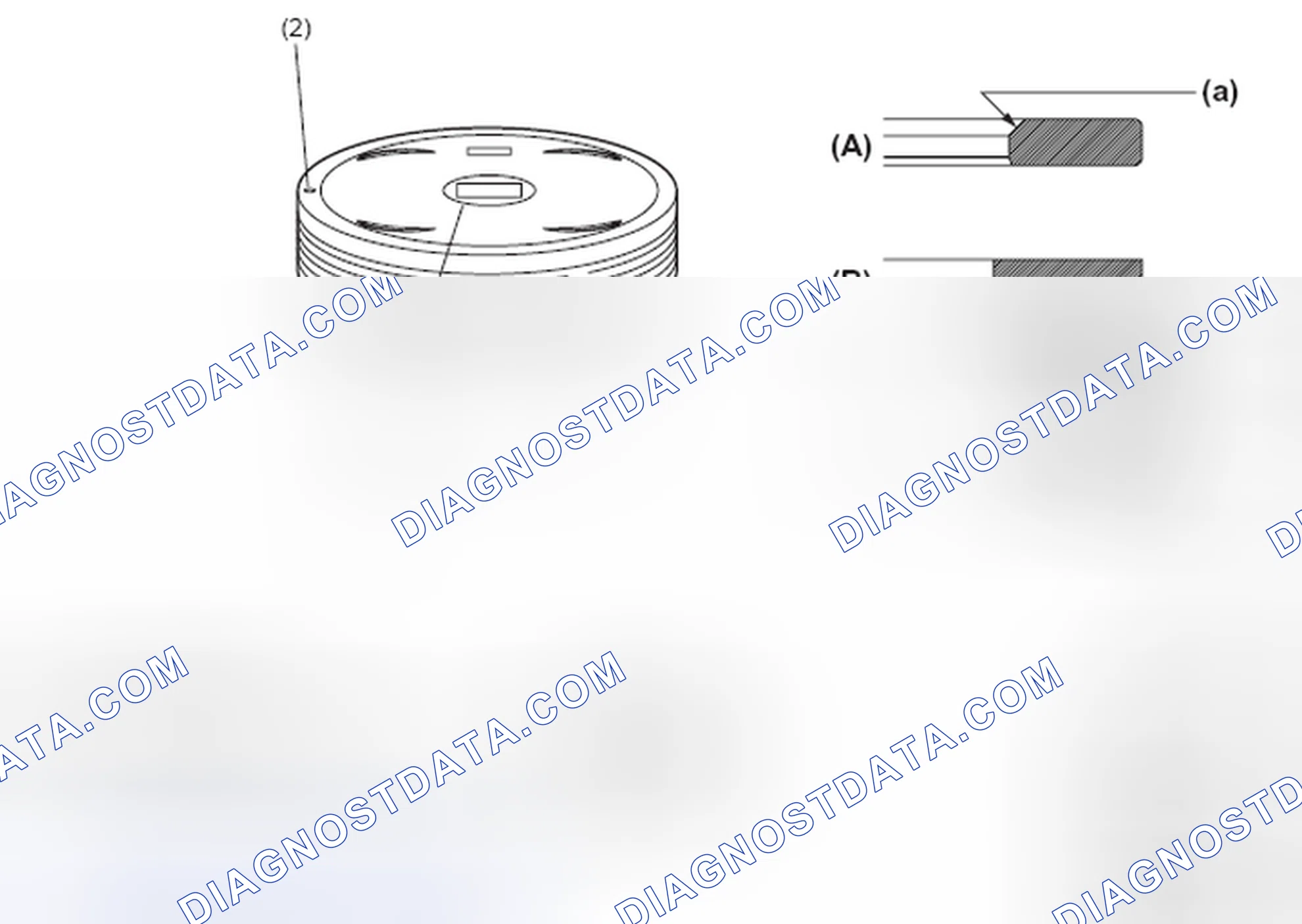 Scheme 64: Piston