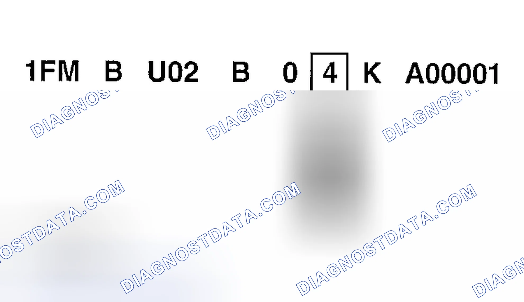 Scheme 9: Model Year Code