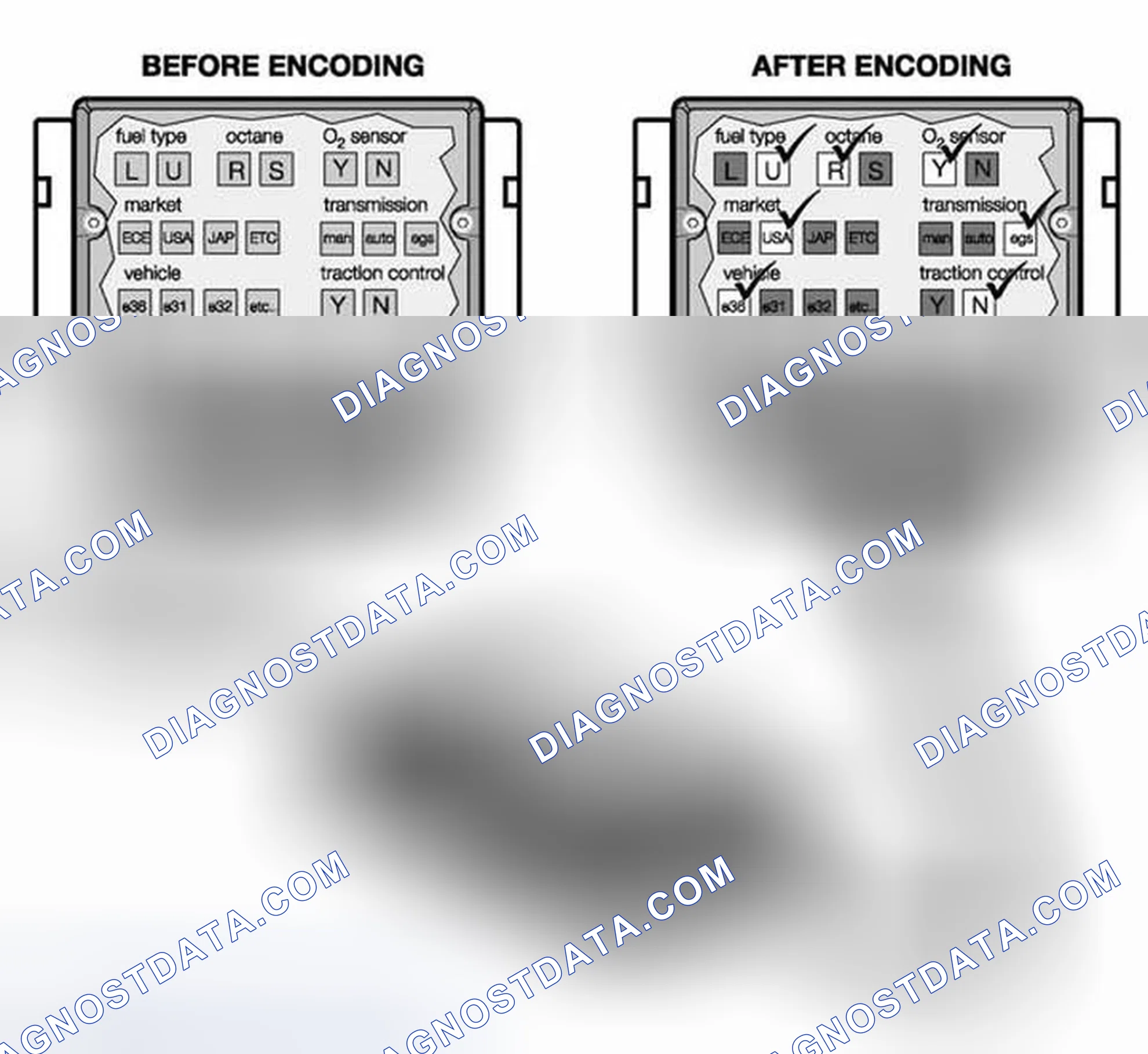 Scheme 28: Coding