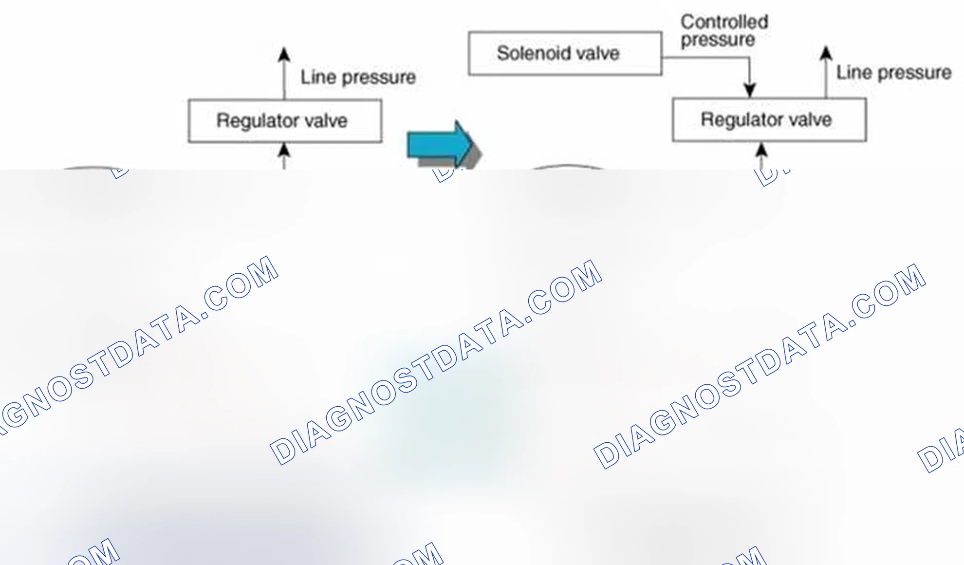 Scheme 537