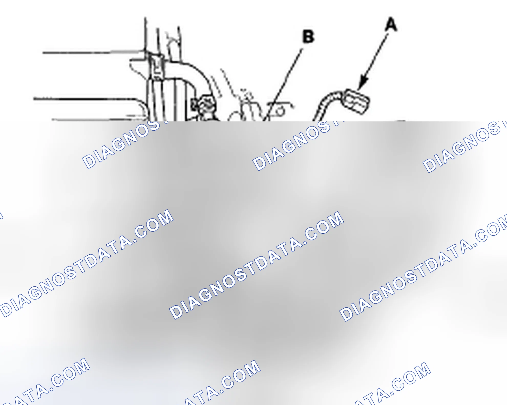 Scheme 137