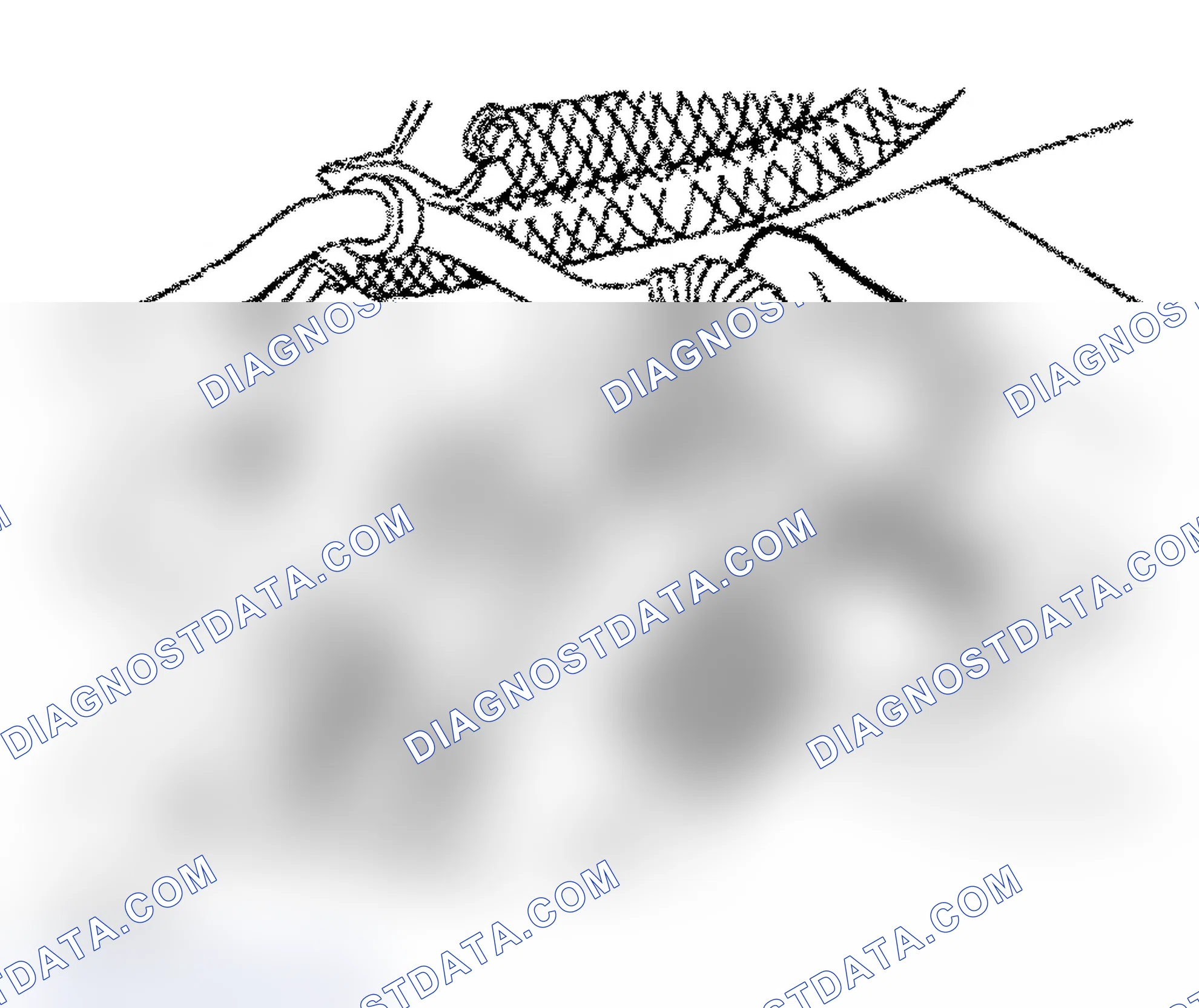 Scheme 182