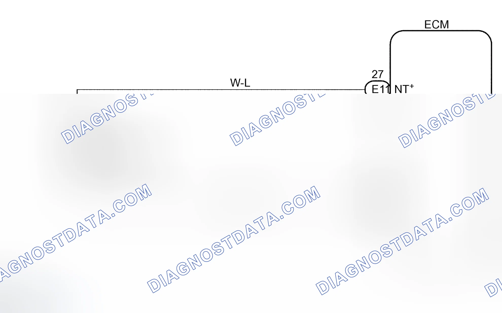 Scheme 279: WIRING DIAGRAM