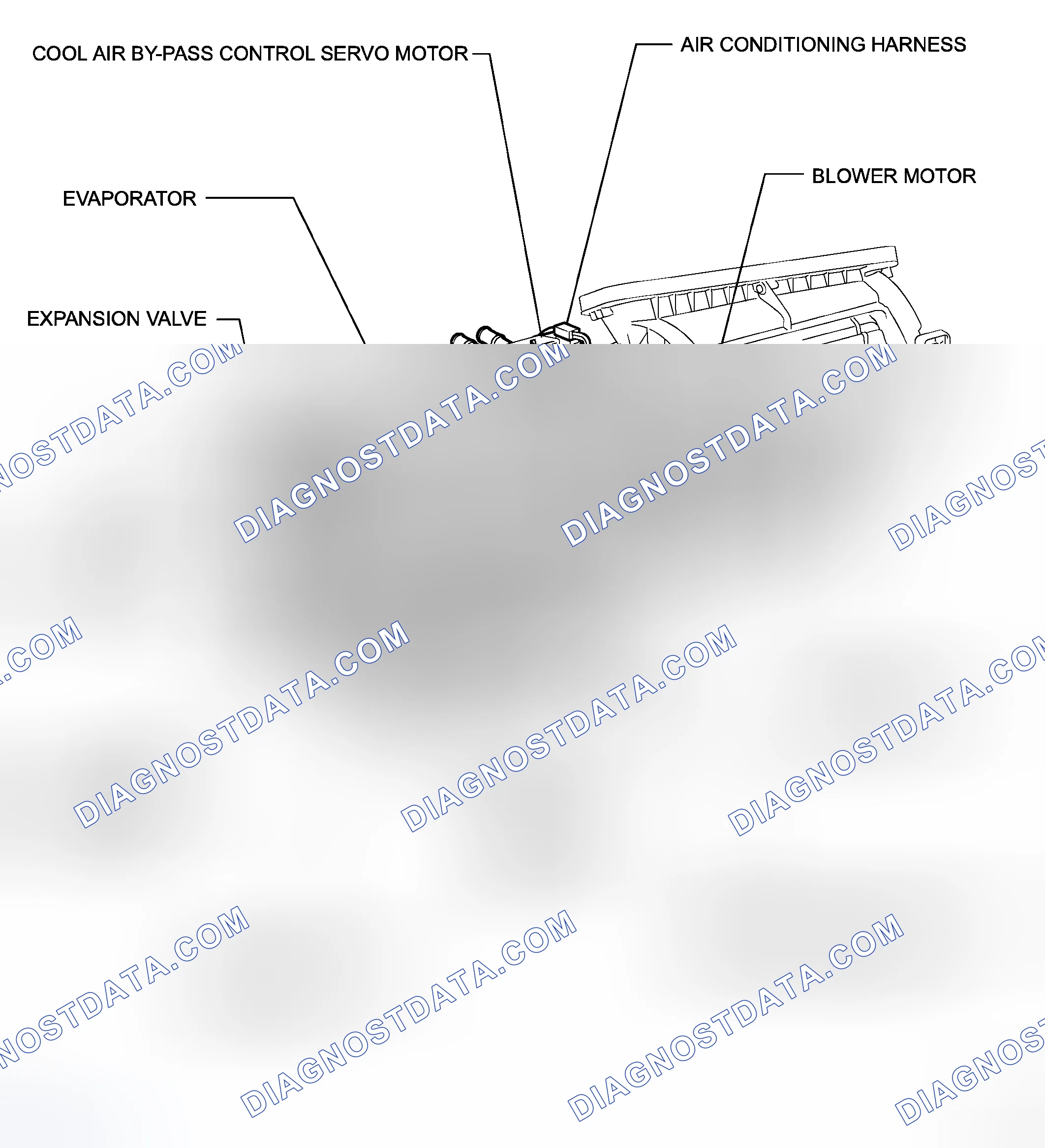 Scheme 6