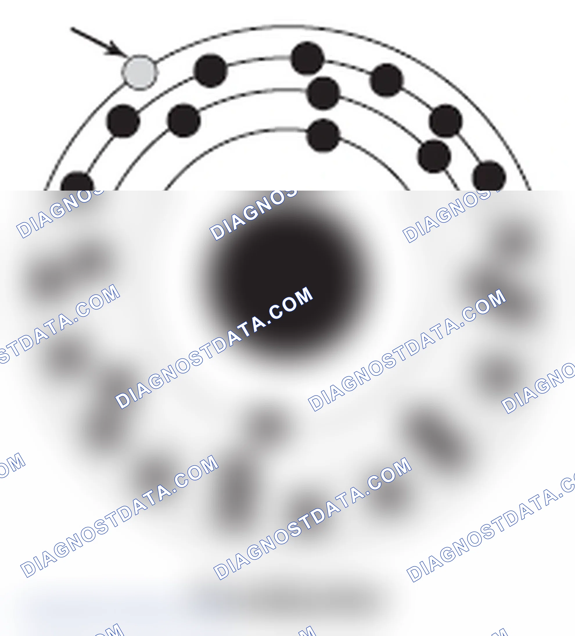 Scheme 233: Conductors